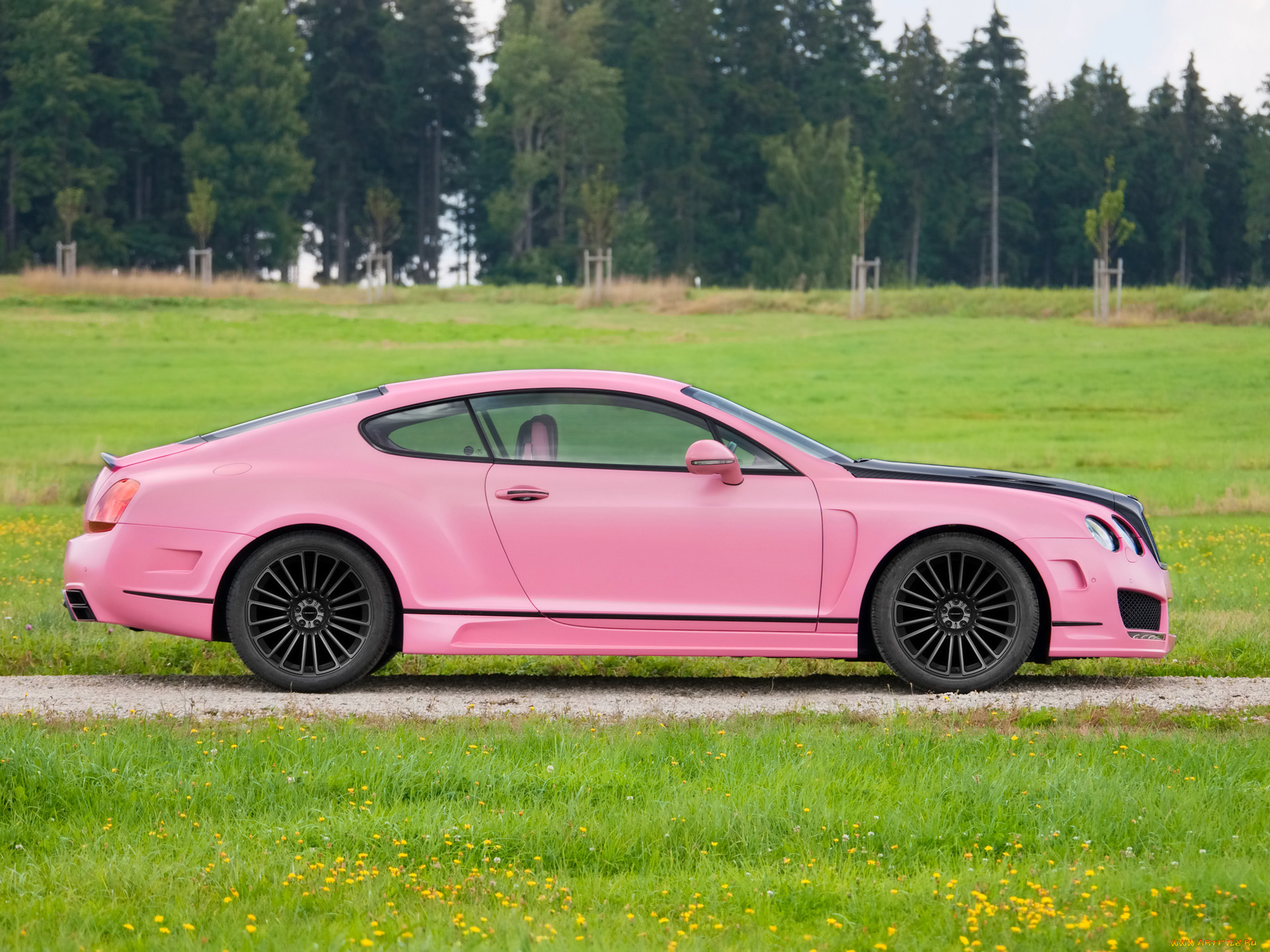 2010, mansory, bentley, vitesse, rose, автомобили