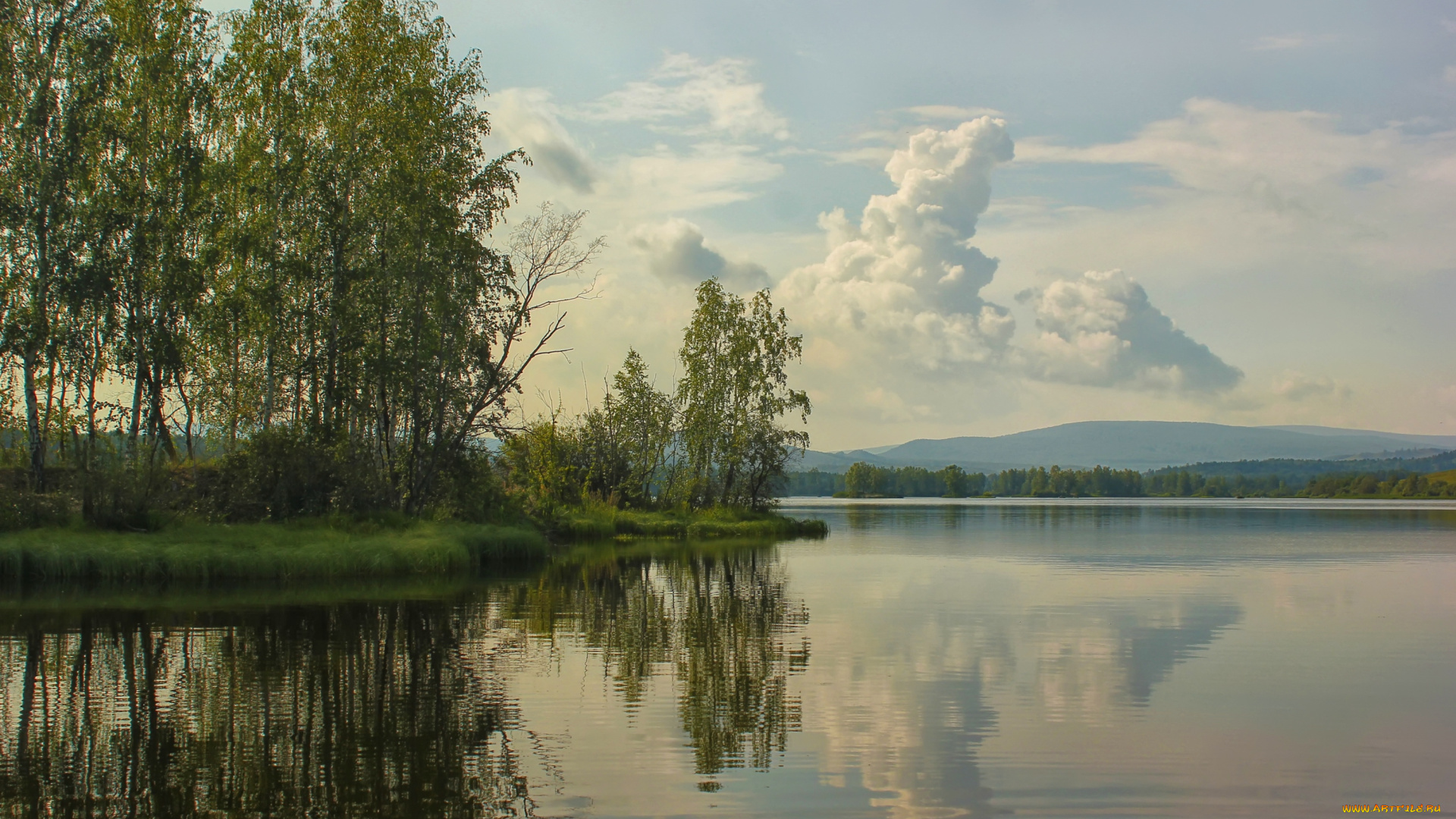 природа, реки, озера, березы, вода