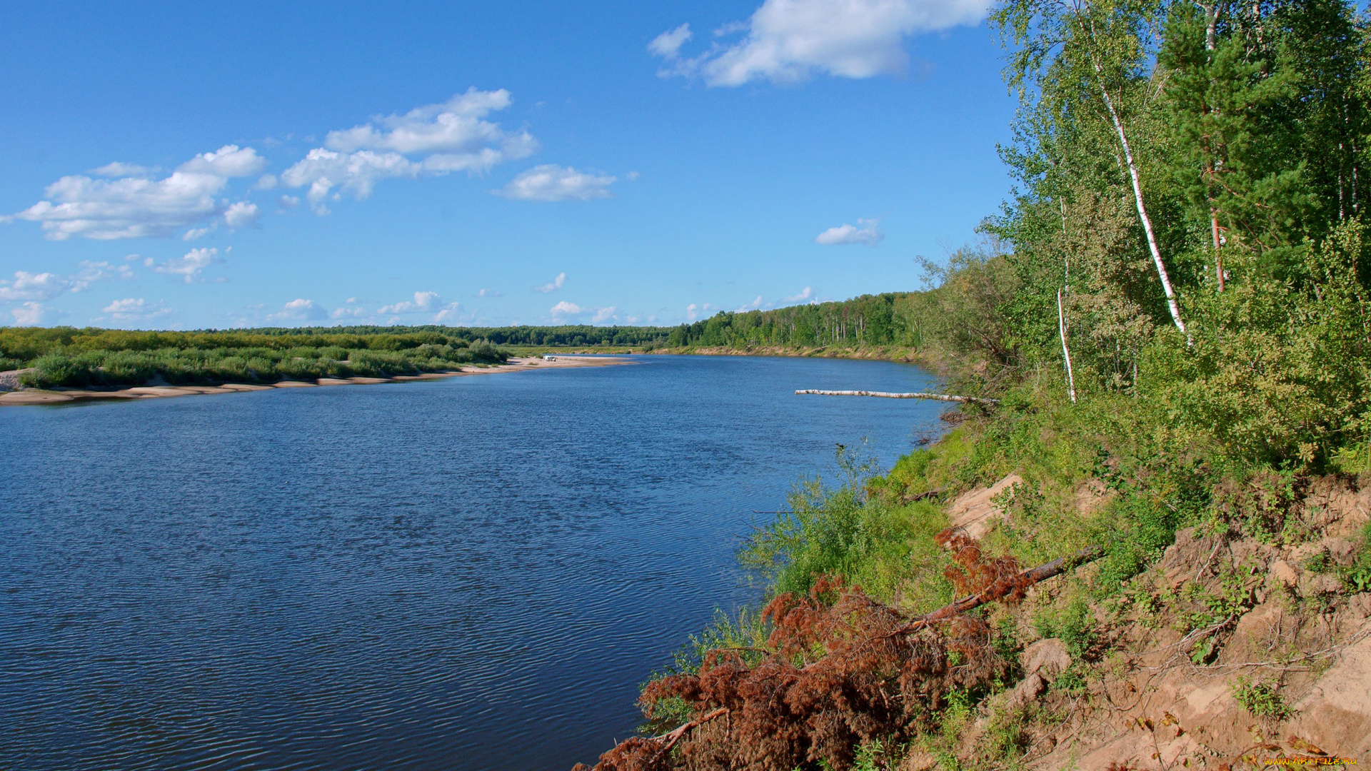 ветлуга, природа, реки, озера, река, берег, лес, небо, облака