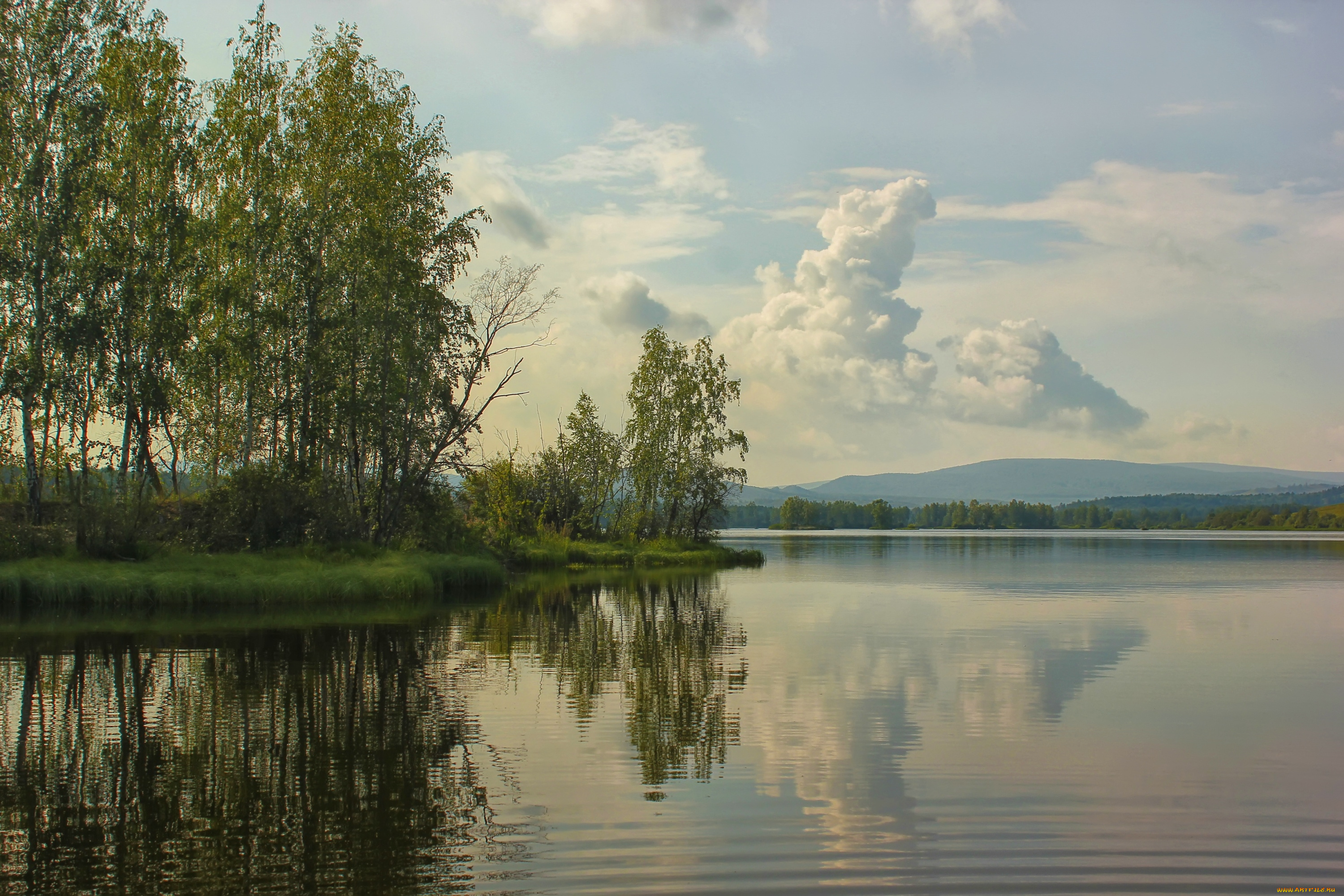 природа, реки, озера, березы, вода