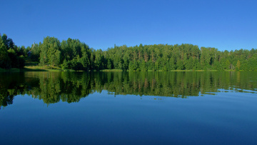 Картинка оз светлояр природа реки озера озеро лес небо