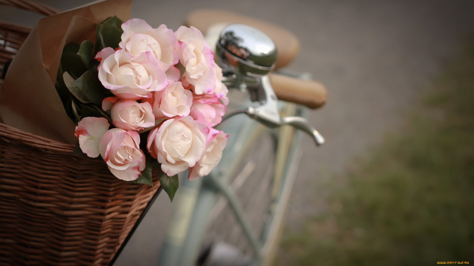 цветы, розы, букет, корзина, велосипед