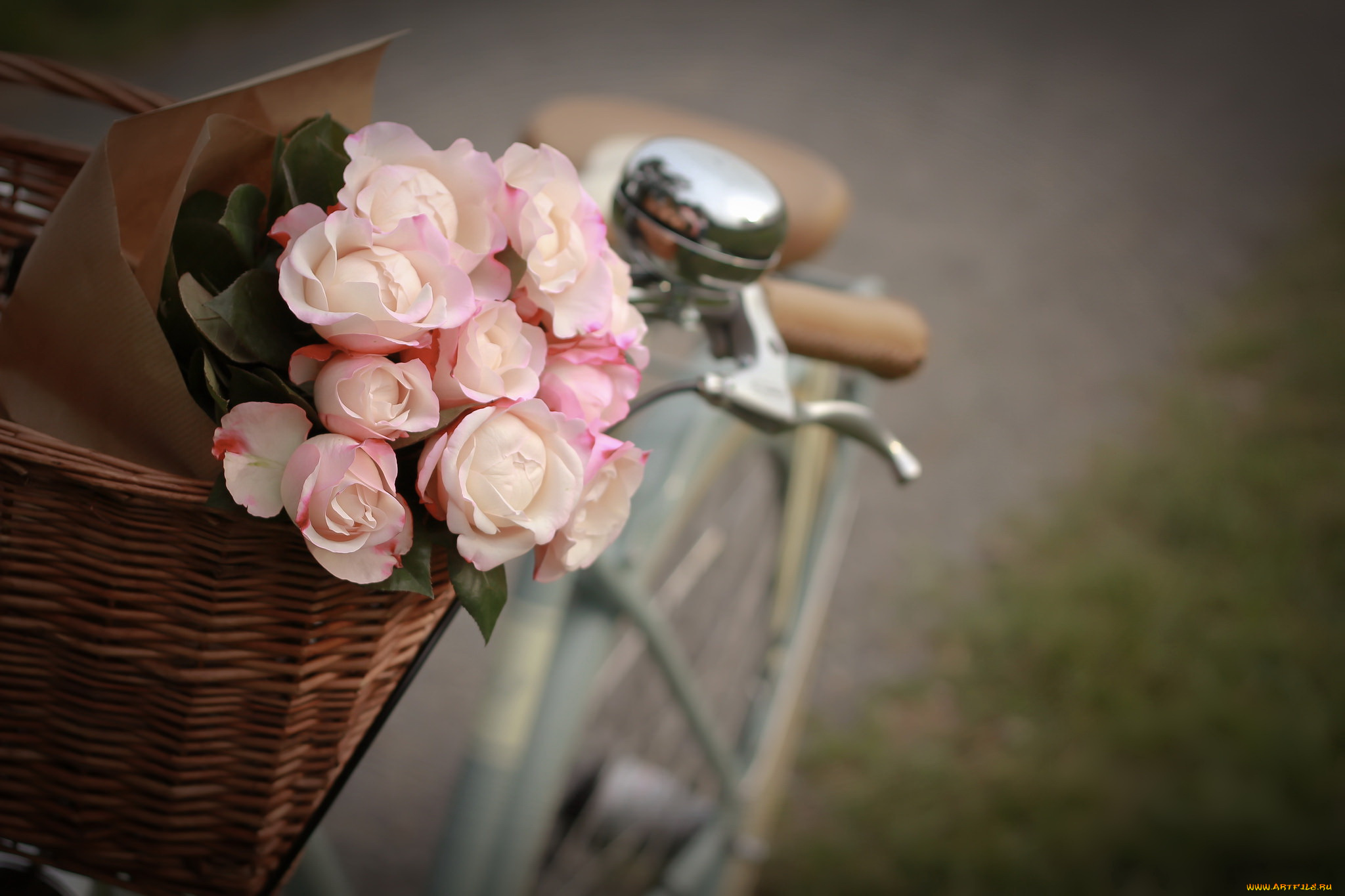 цветы, розы, букет, корзина, велосипед