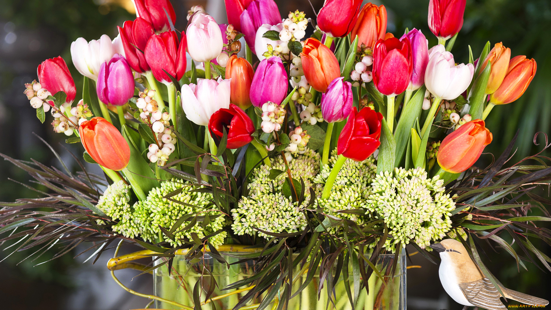 цветы, тюльпаны, bouquet, tulips