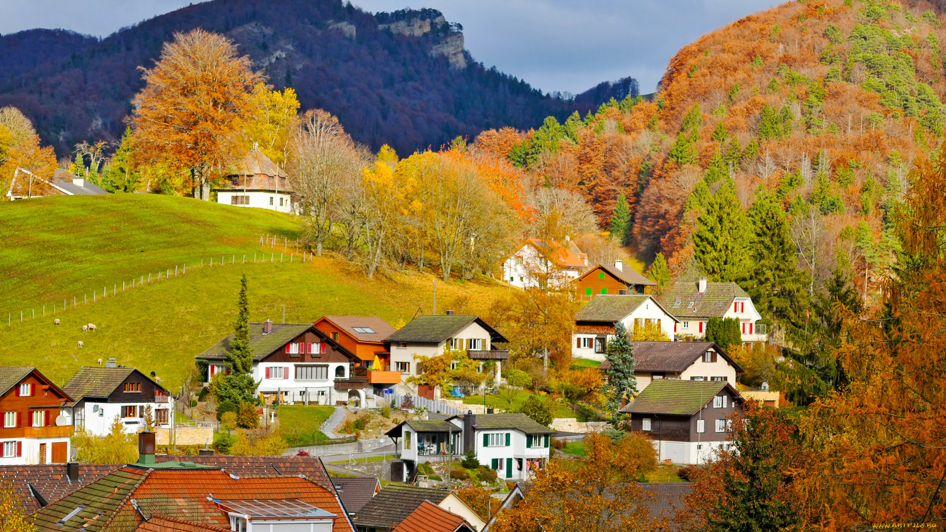 города, -, пейзажи, switzerland, langenbruck, деревня, горы, деревья, поле, швейцария