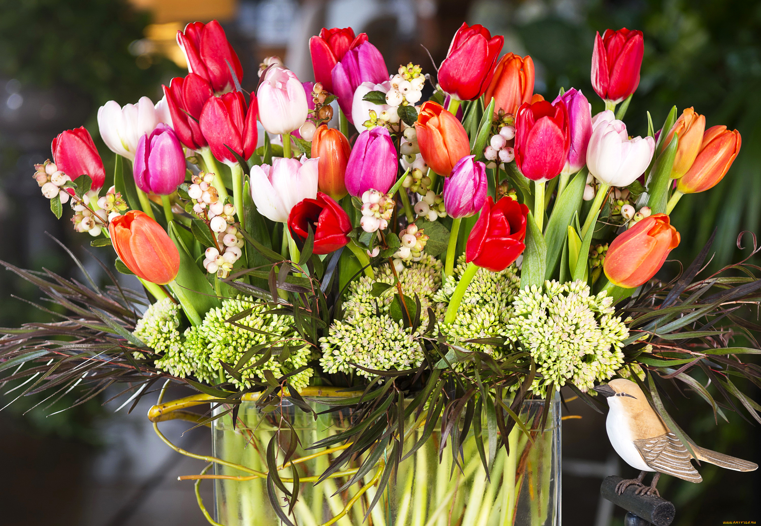 цветы, тюльпаны, bouquet, tulips