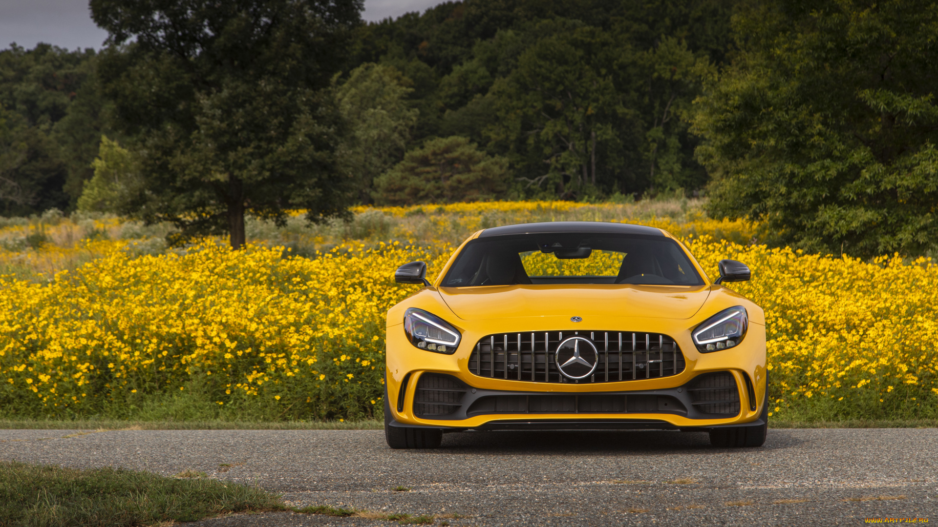 2020, mercedes, amg, gt, r, автомобили, mercedes-benz, мерседес, amg, вид, спереди, r, gt, 2020, mercedes