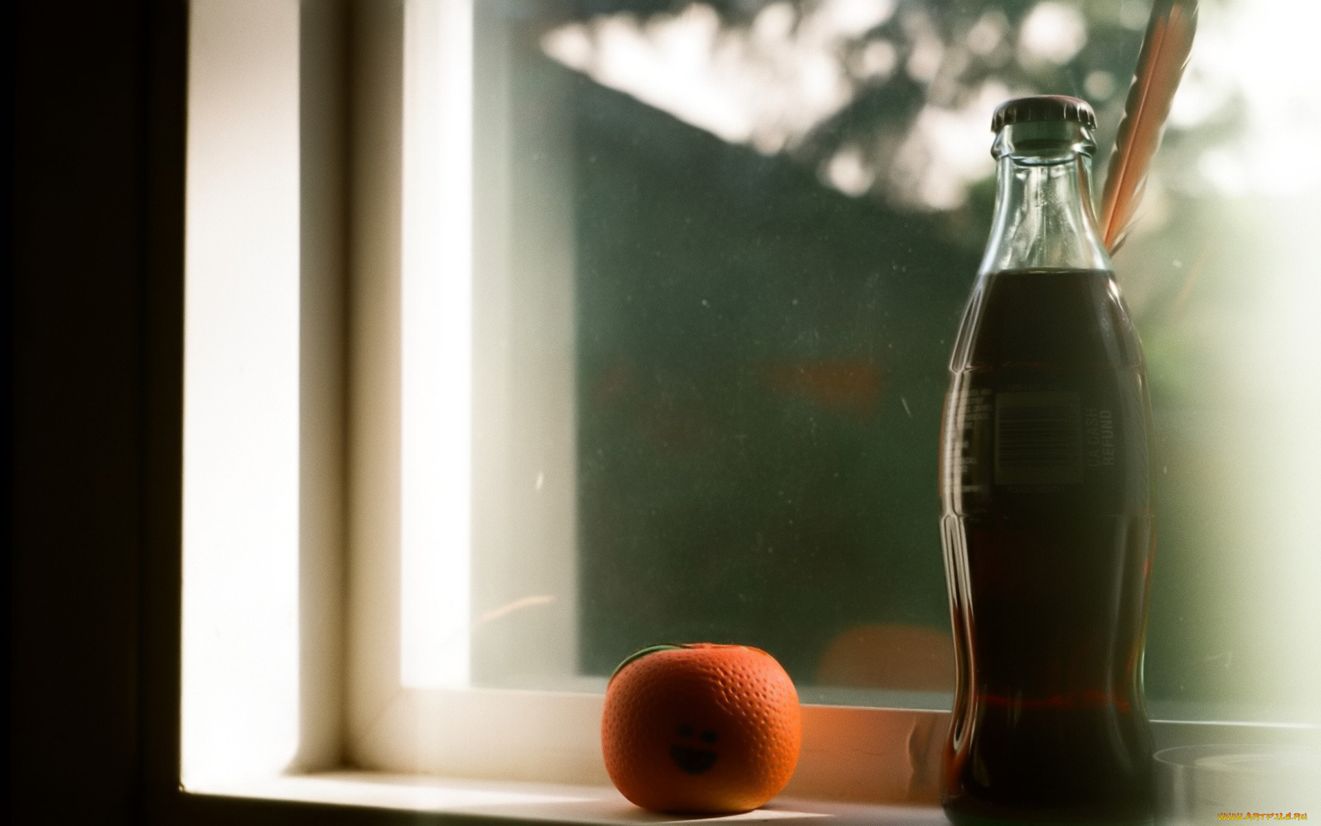 бренды, coca-cola, бутылка, кола, окно, мандарин