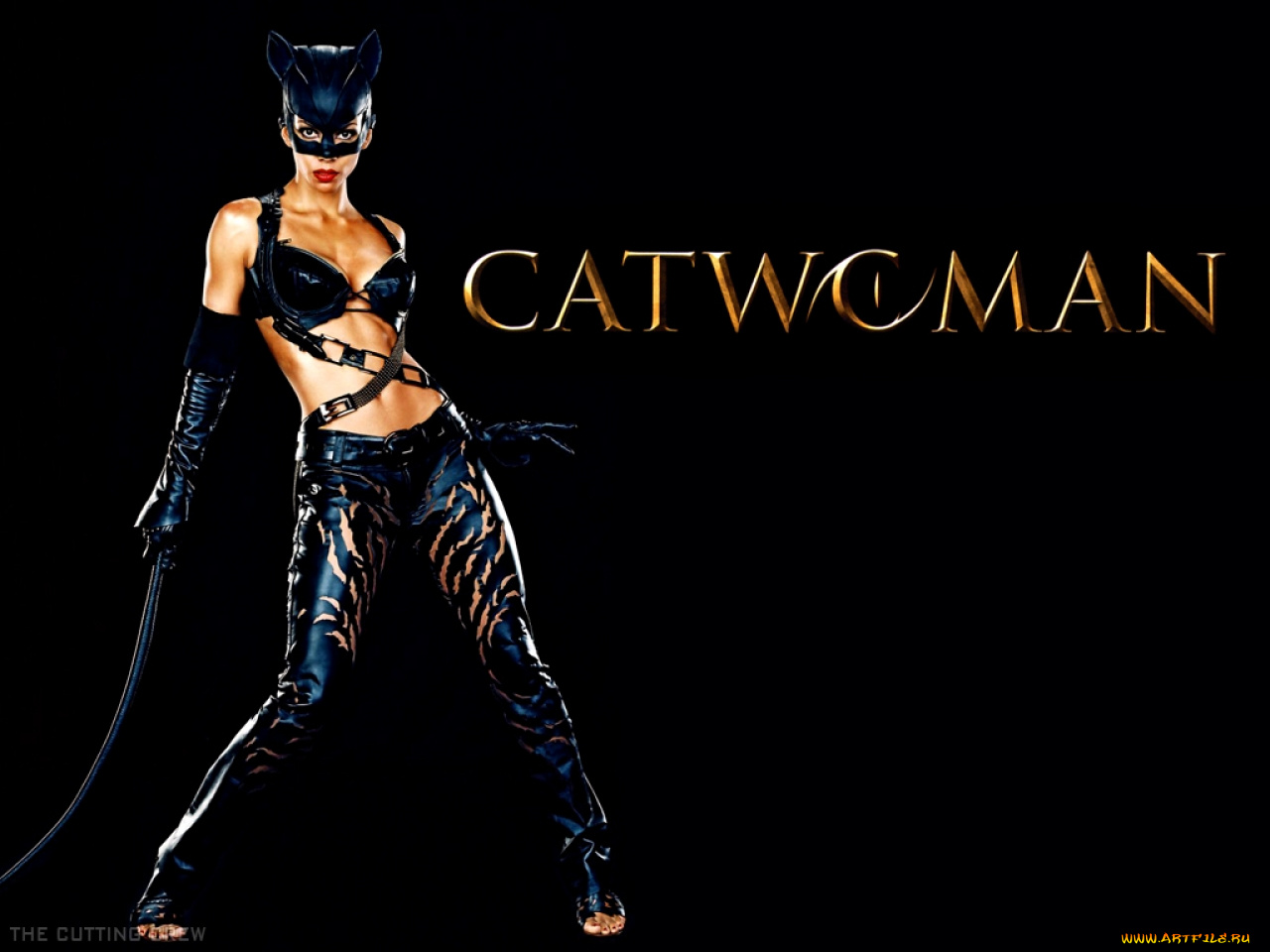 кино, фильмы, catwoman