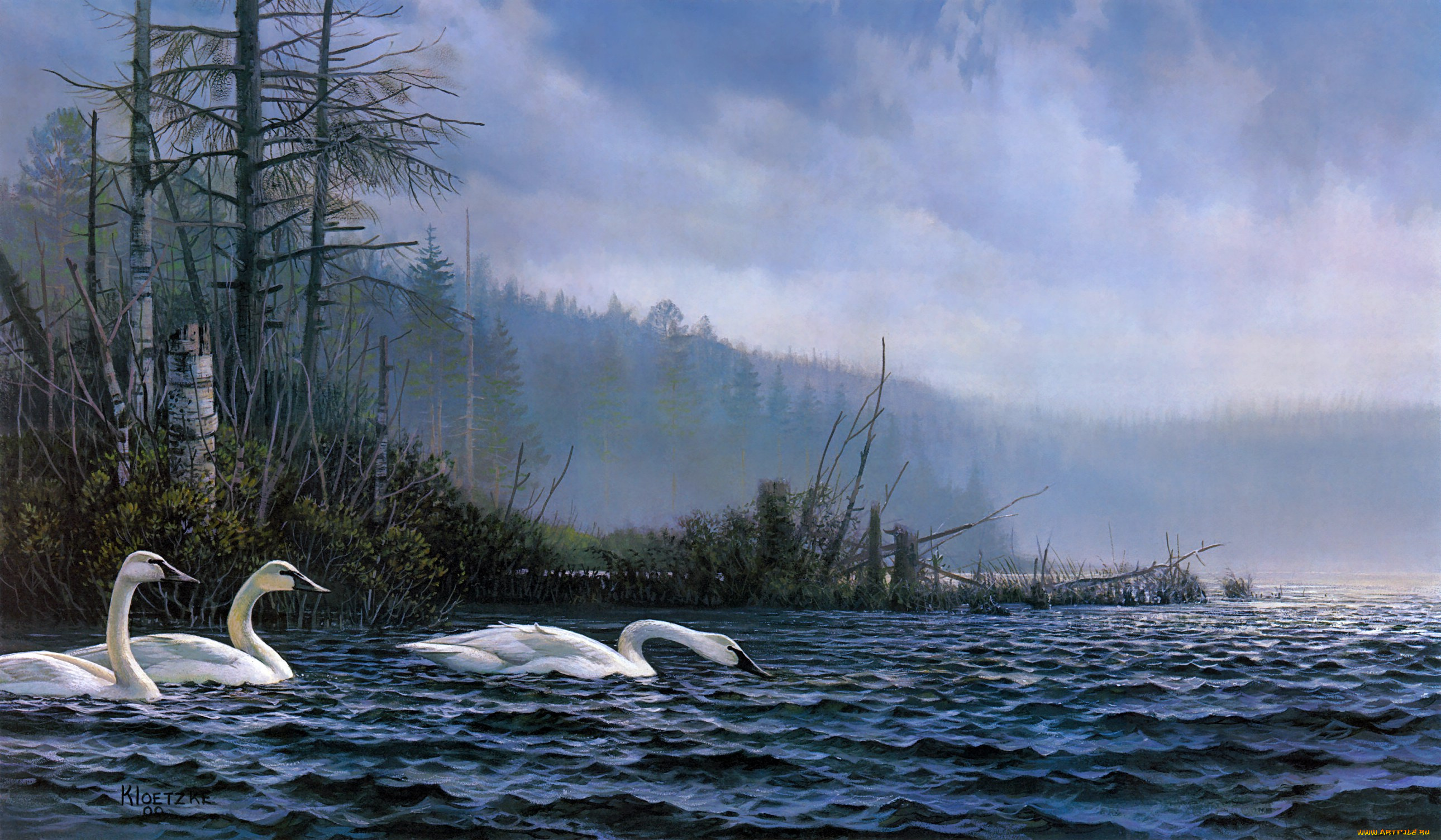 swan, lake, рисованные, don, kloetzke, озеро, лебеди