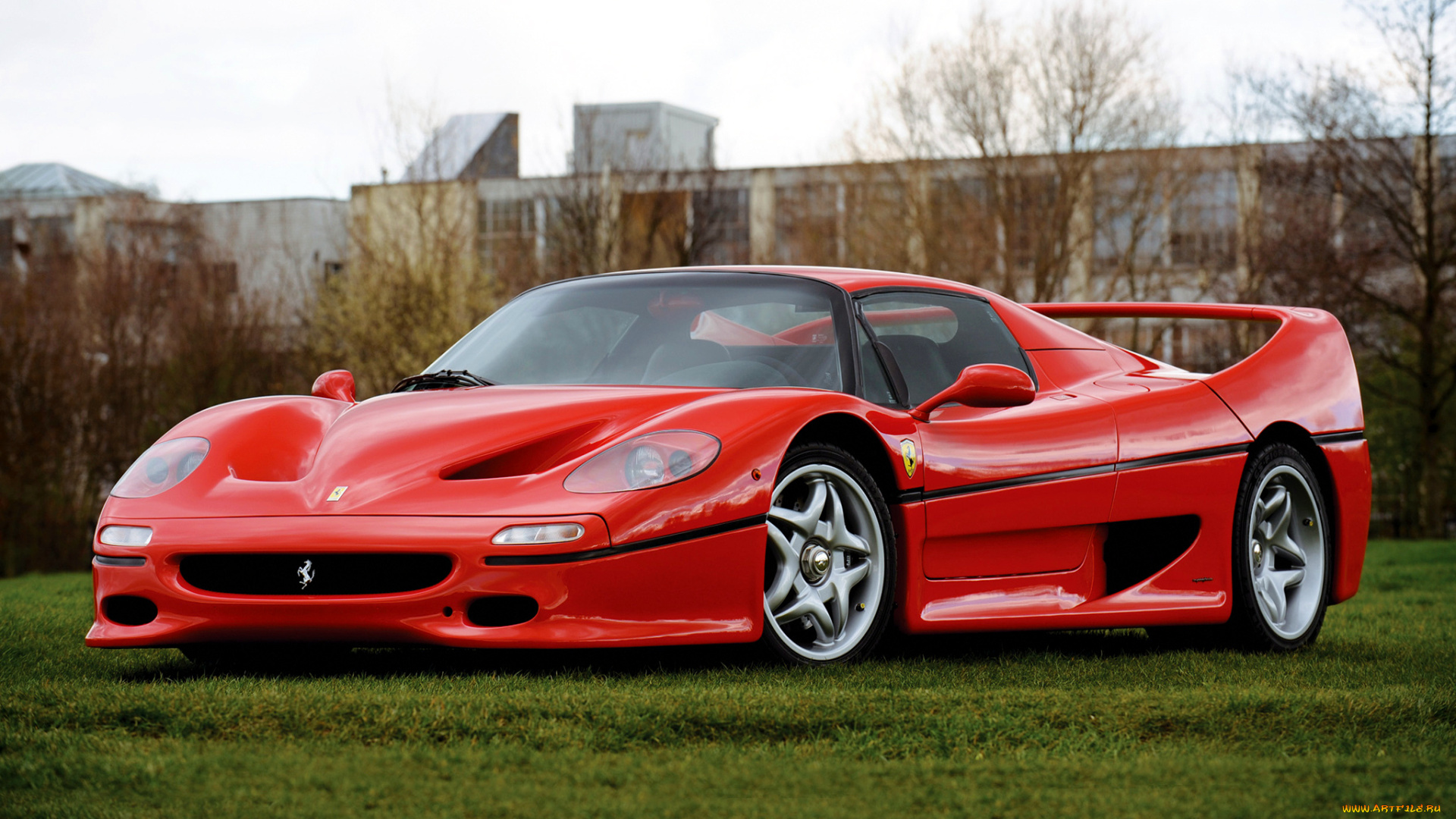 ferrari, f50, автомобили, италия, спортивные, гоночные, s, p, a