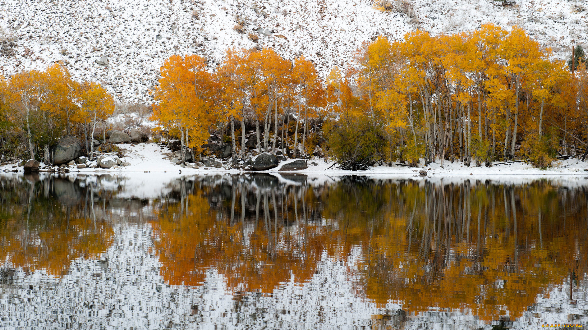 природа, реки, озера, озеро, осень, снег, клон, деревья, отражение