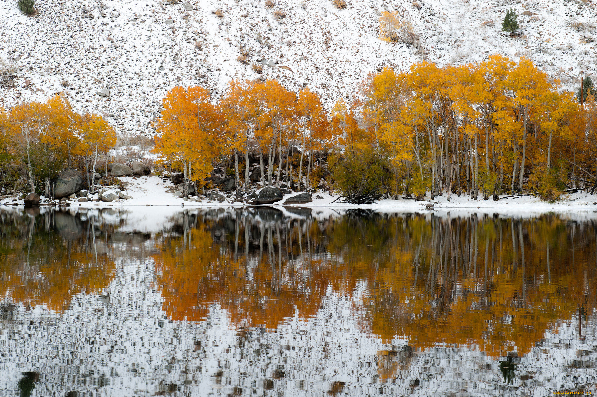 природа, реки, озера, озеро, осень, снег, клон, деревья, отражение