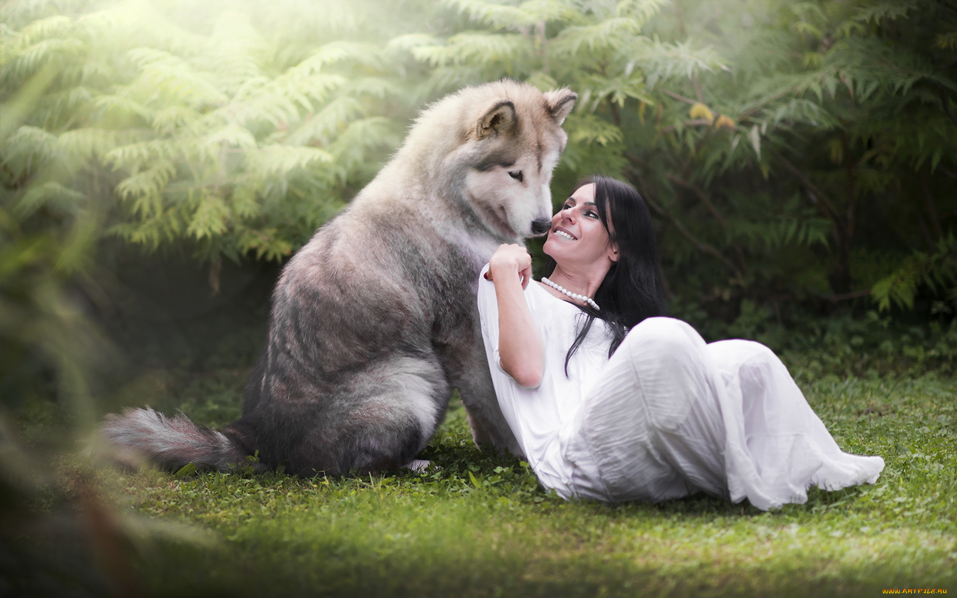 Animal girl. Красивые фотосессии с животными. Волк обнимает. Девушка с волком. Животные и женщины любовь.