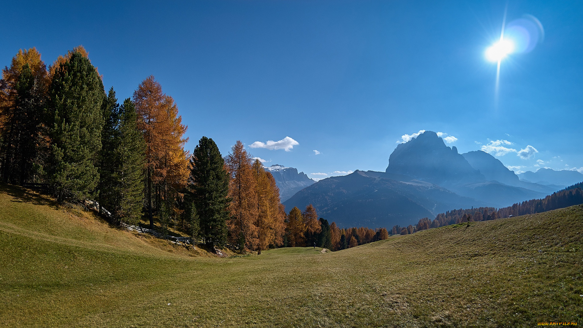 природа, пейзажи, осень, лес