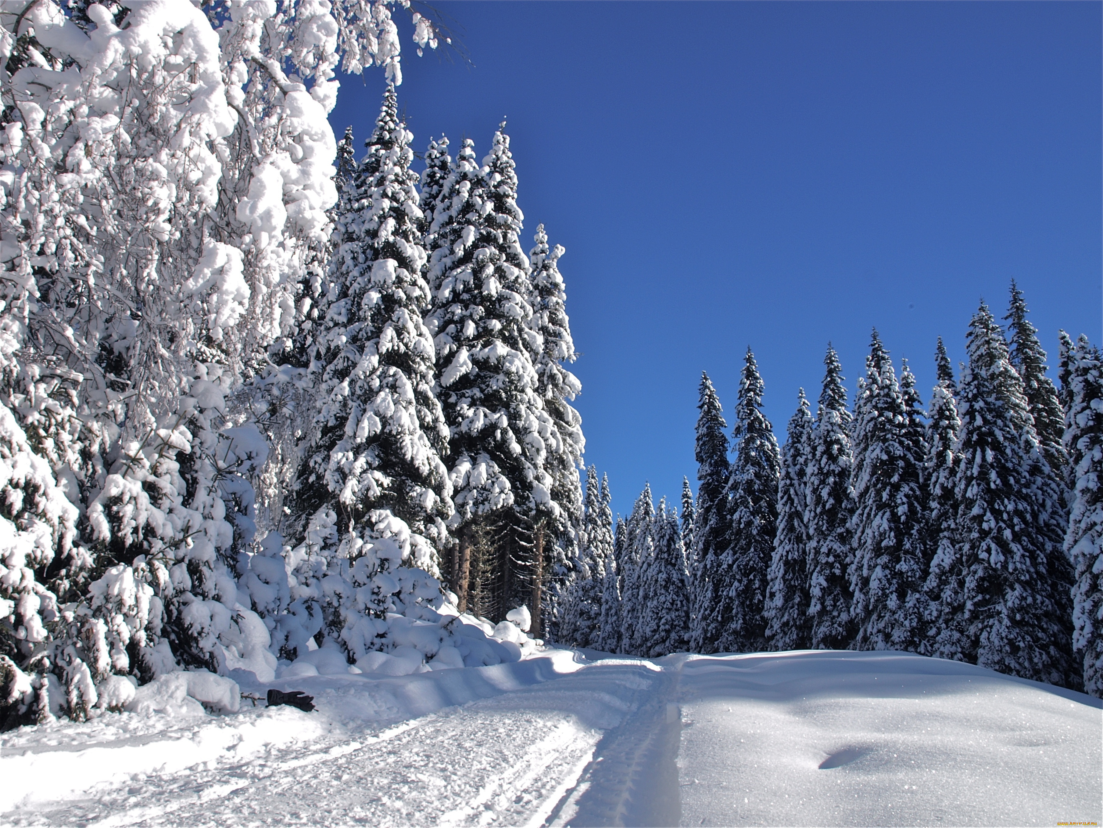 природа, зима, деревья, дорога, пейзаж, снег