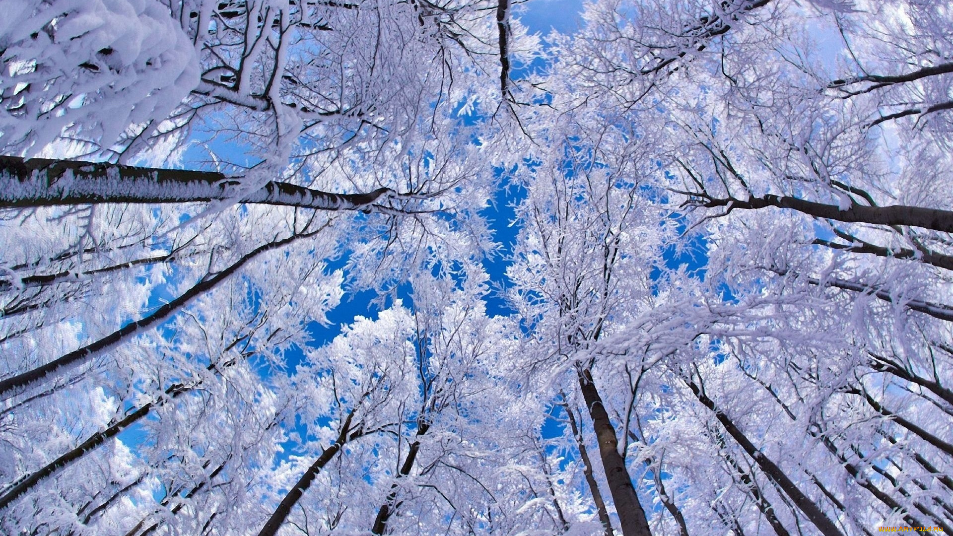 природа, зима, небо, снег