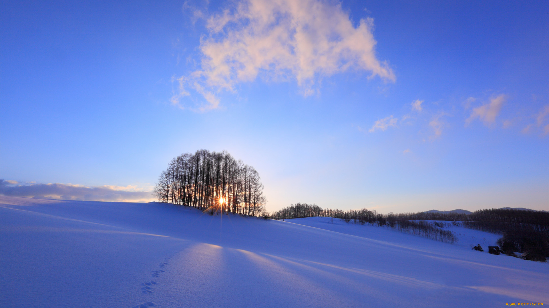 природа, зима, снег, восход, утро, деревья, пейзаж