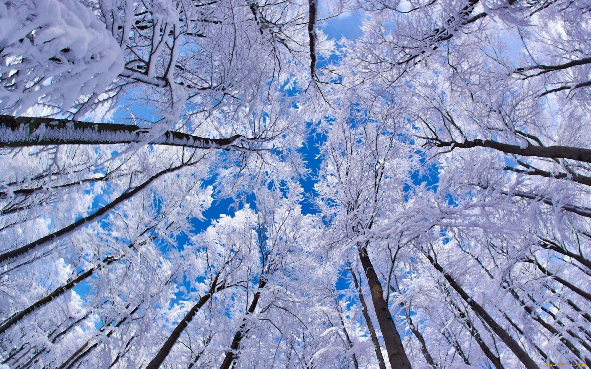 природа, зима, небо, снег