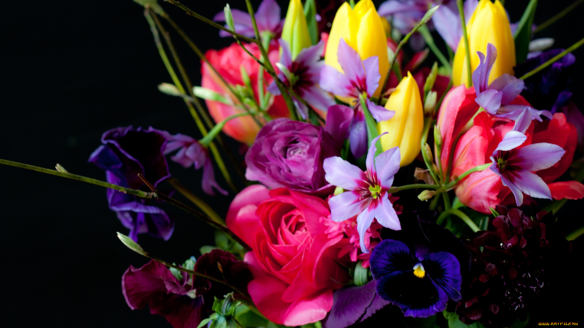 цветы, букеты, композиции, тюльпаны, розы, виола