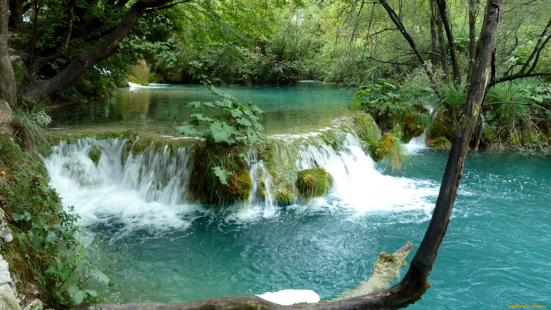 плитвицкие, озера, хорватия, природа, водопады, лес, водопад