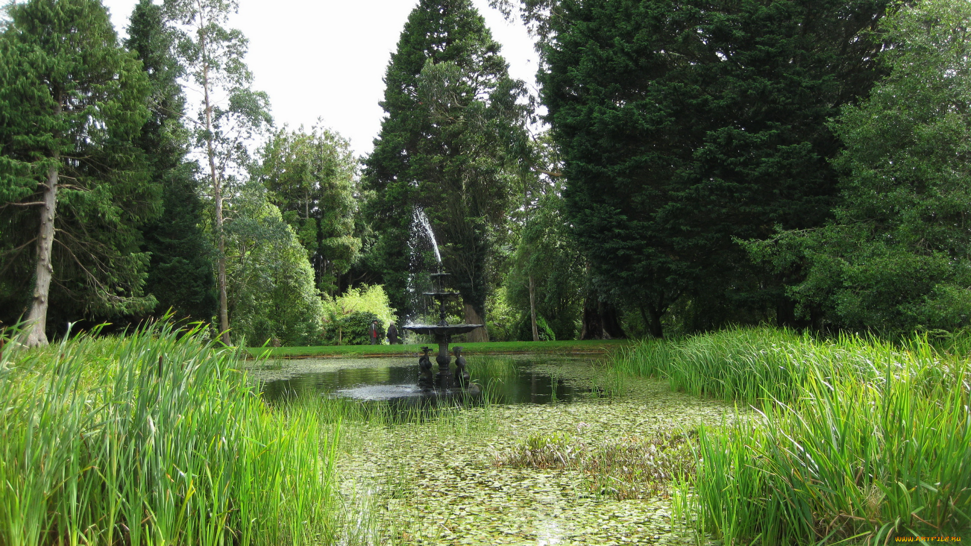 powerscourt, gardens, ирландия, эннискерри, природа, парк, сад, водоем, фонтан, деревья