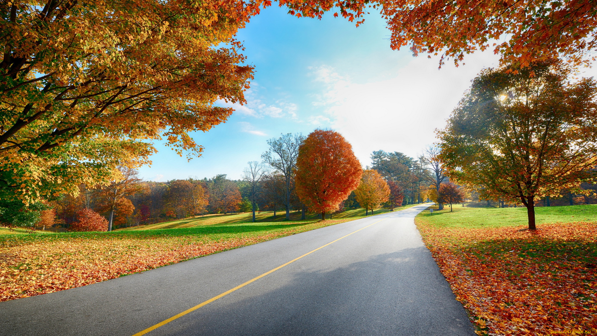 природа, дороги, деревья, осень