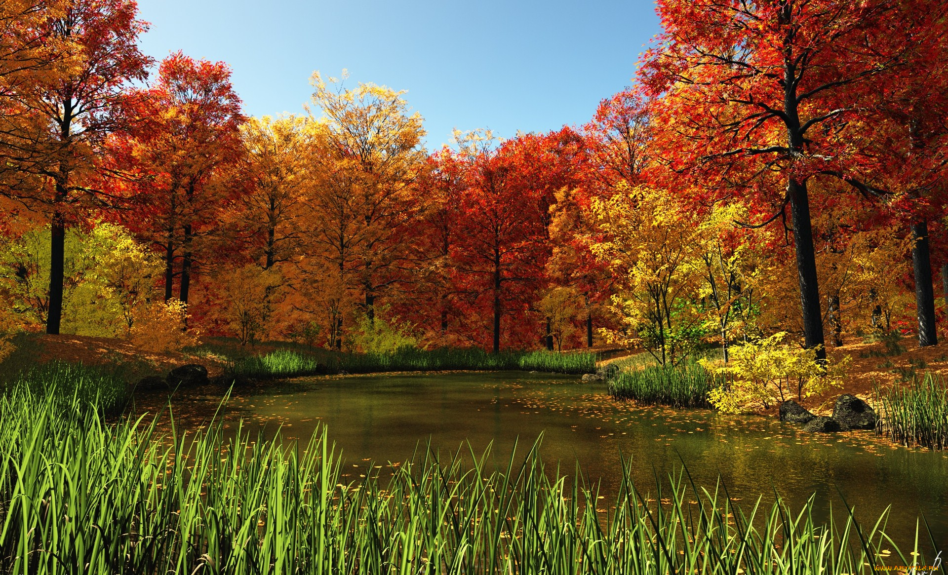 autumn, природа, реки, озера, осень, желтые, кроны, осока, река, деревья