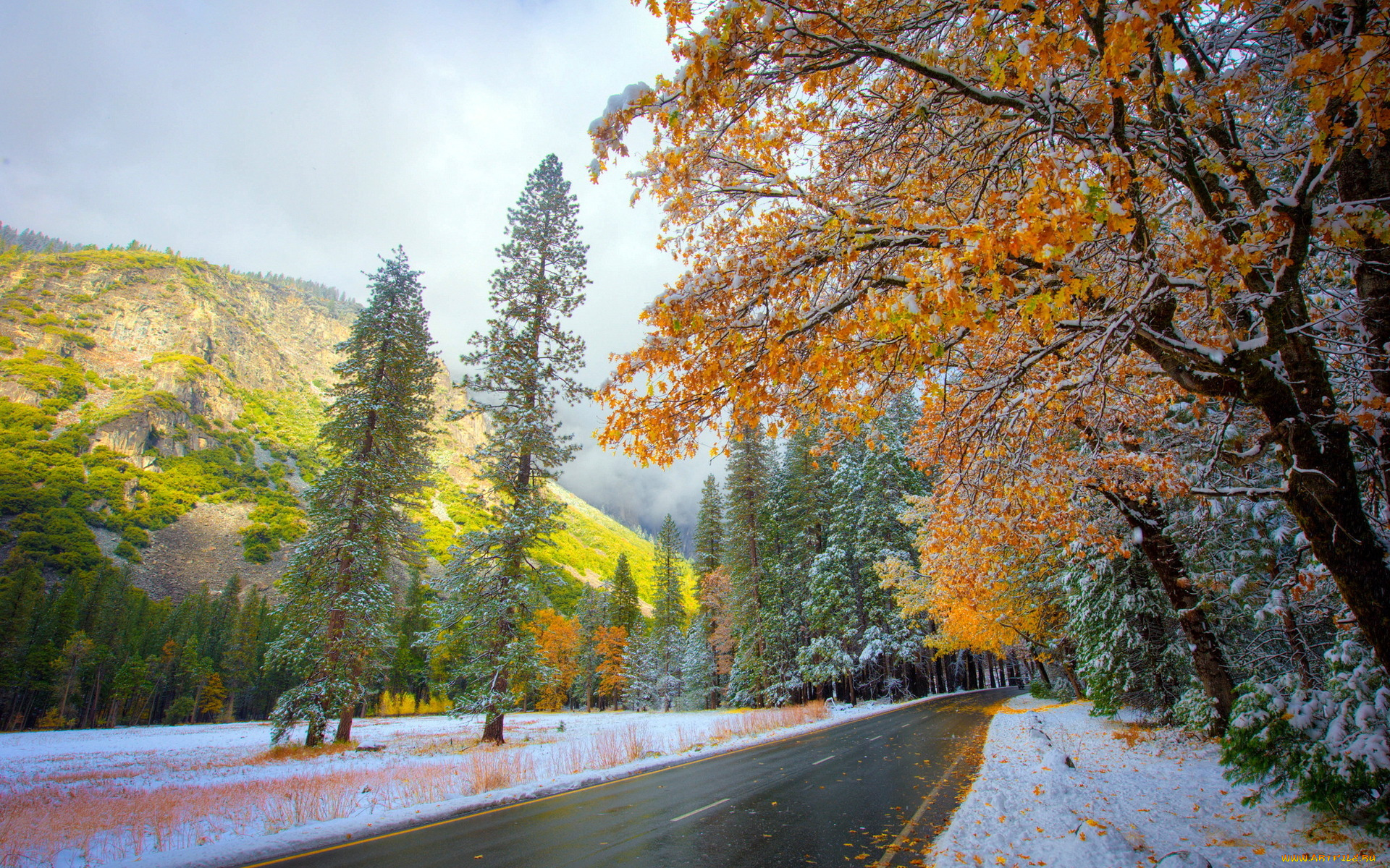 природа, дороги, снег, осень, дорога