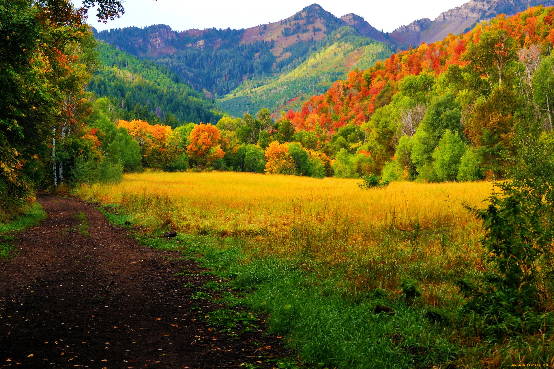 природа, дороги, лес, горы, осень