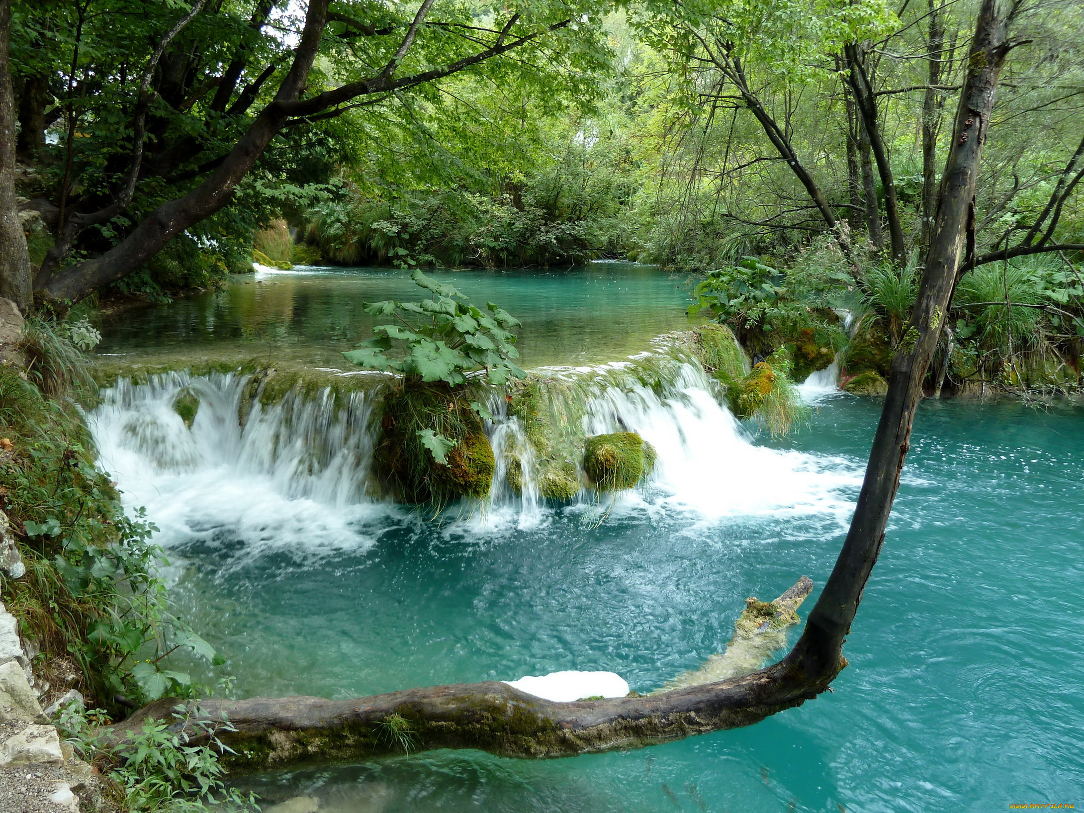 плитвицкие, озера, хорватия, природа, водопады, лес, водопад