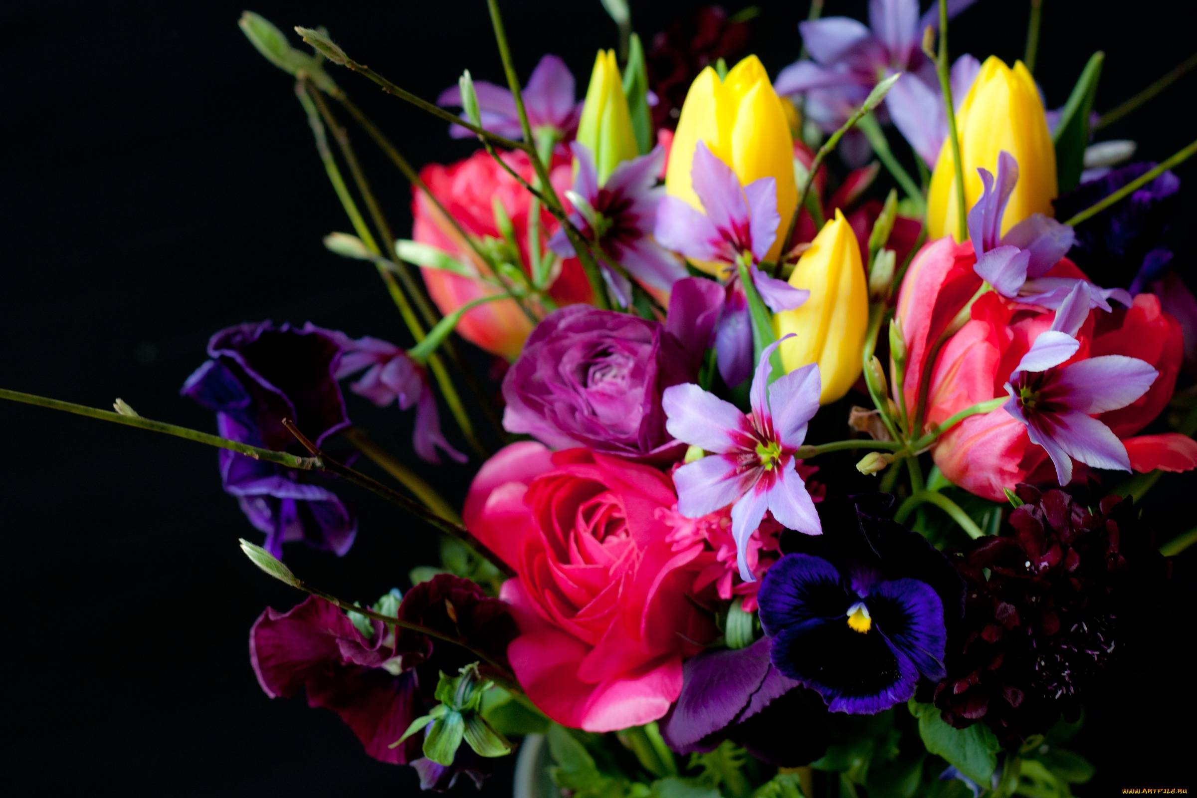 цветы, букеты, композиции, тюльпаны, розы, виола
