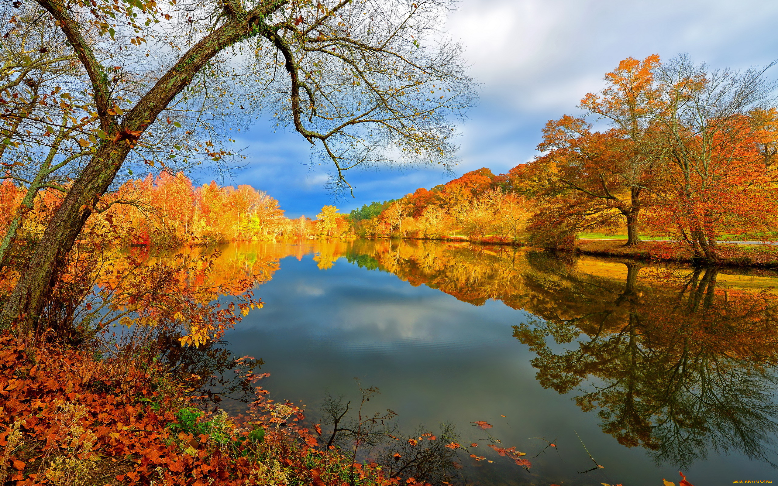 природа, реки, озера, деревья, отражение, осень, река