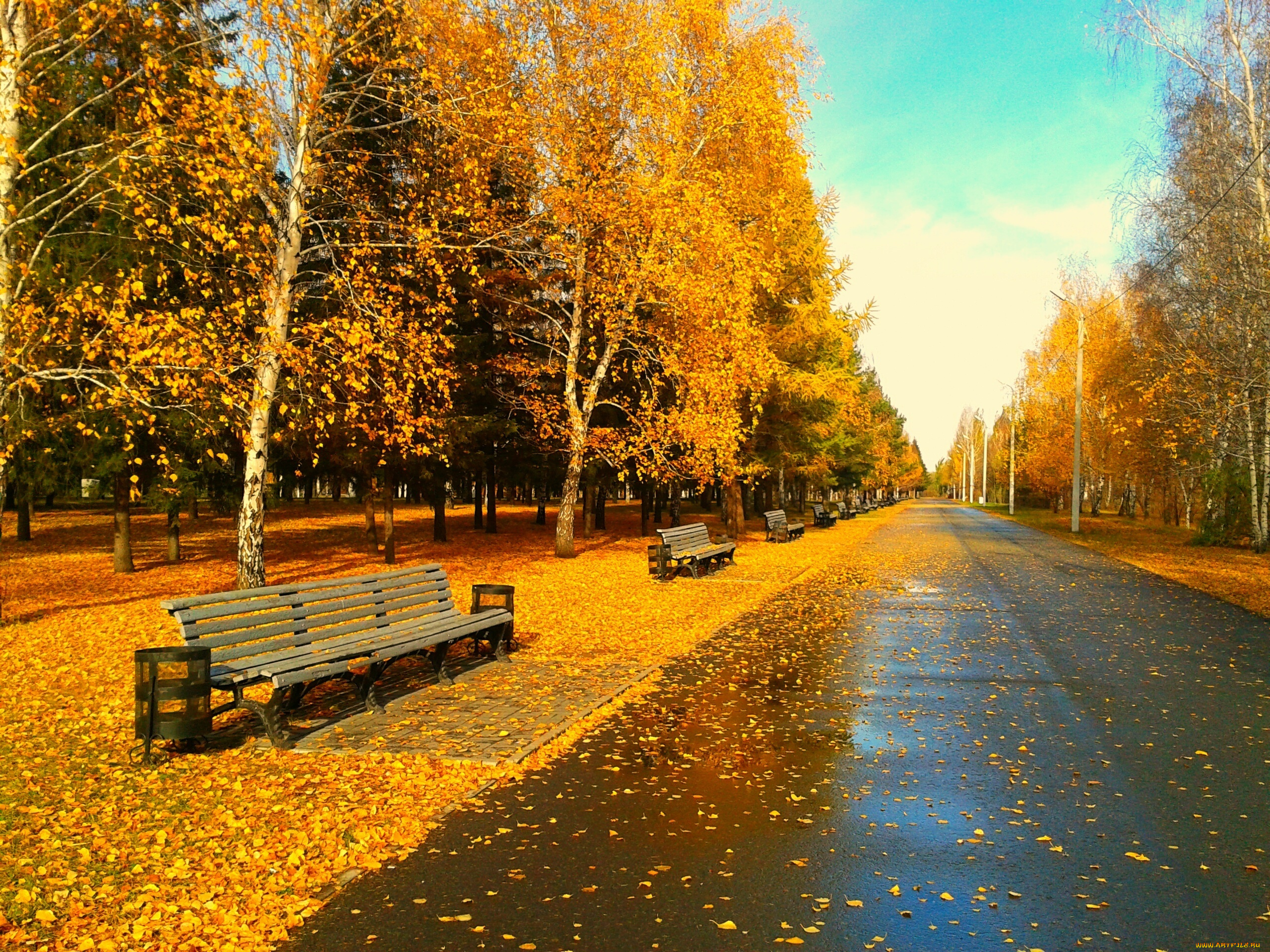 природа, парк, осень, омск, скамейки, листья, вечер