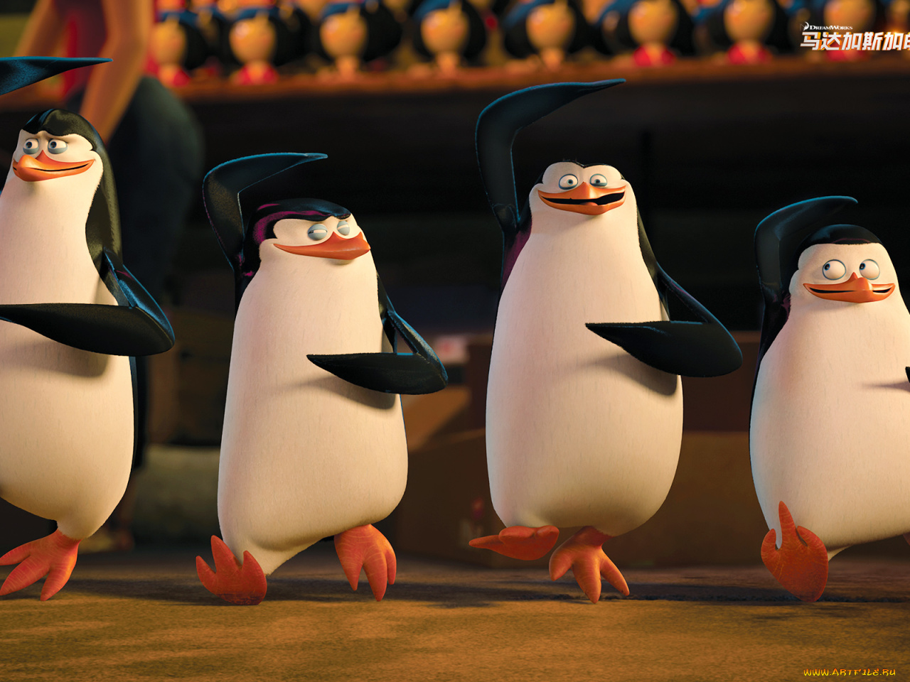 мультфильмы, the, penguins, of, madagascar, <b>пингвины</b>, клюв, глаза.