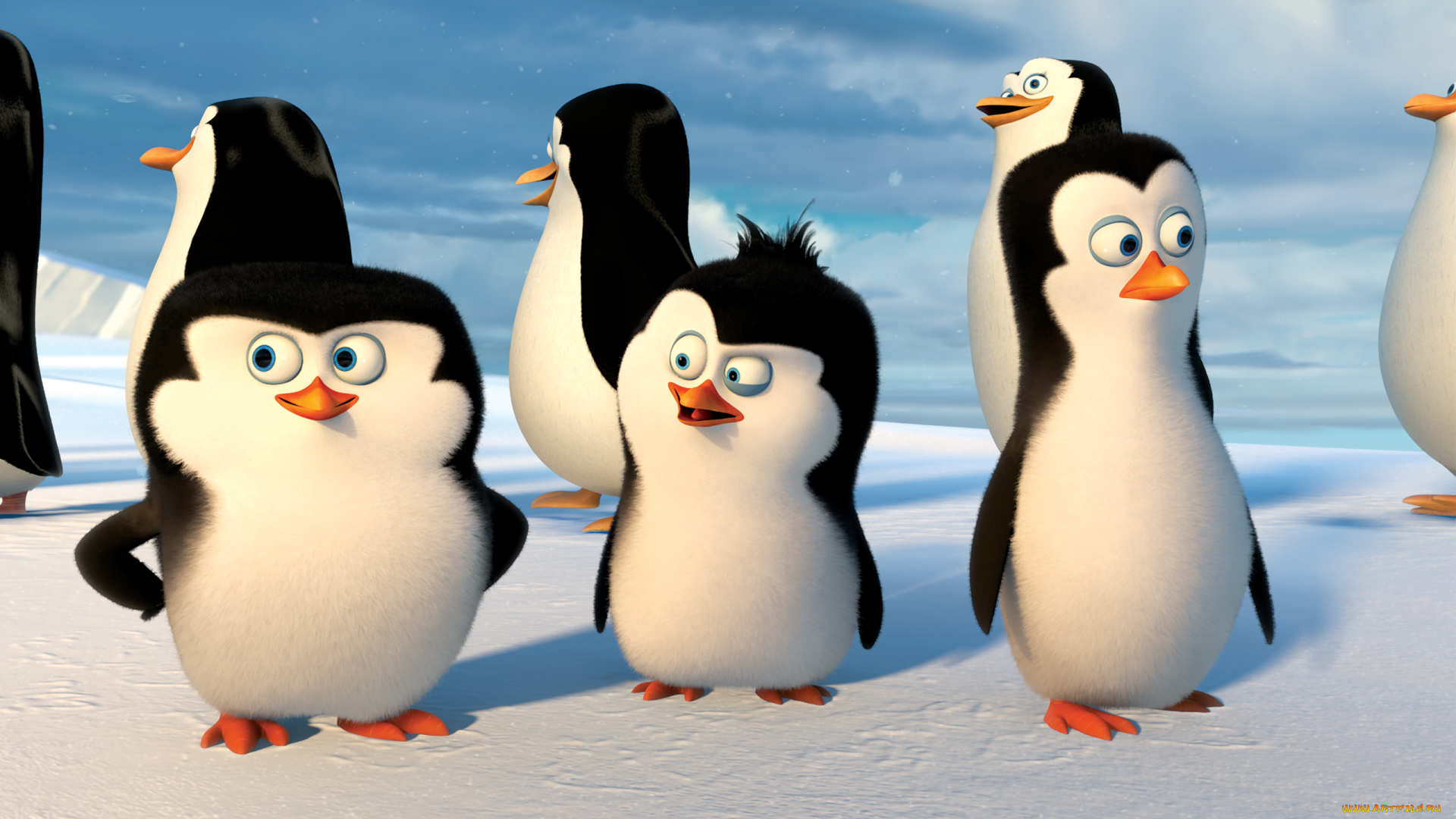 мультфильмы, the, penguins, of, madagascar, глаза, пингвины, клюв