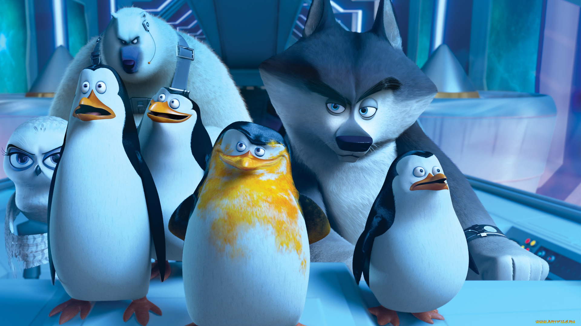 мультфильмы, the, penguins, of, madagascar, глаза, пингвины, клюв