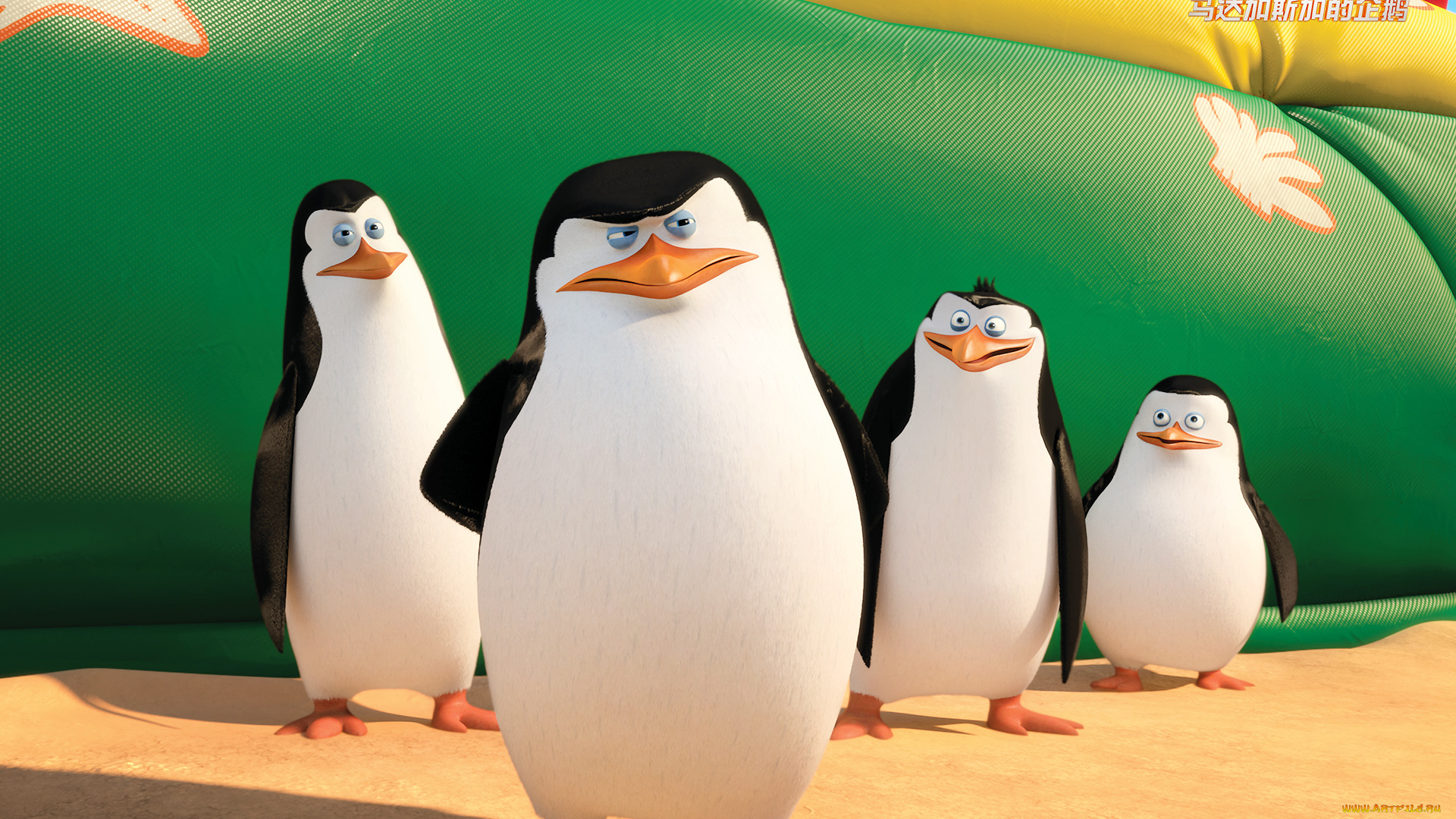 мультфильмы, the, penguins, of, madagascar, клюв, глаза, пингвины