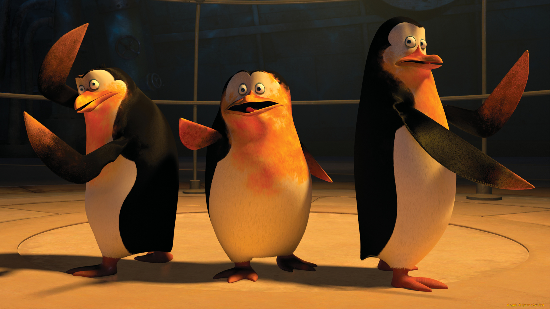 мультфильмы, the, penguins, of, madagascar, клюв, глаза, пингвины