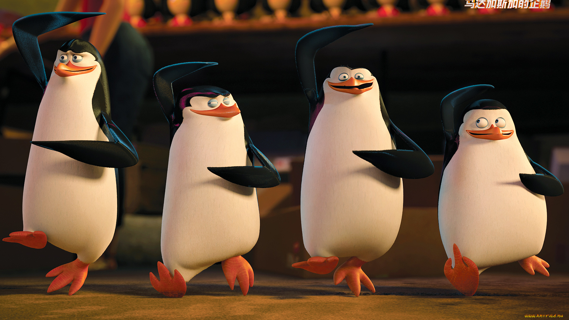 мультфильмы, the, penguins, of, madagascar, пингвины, клюв, глаза