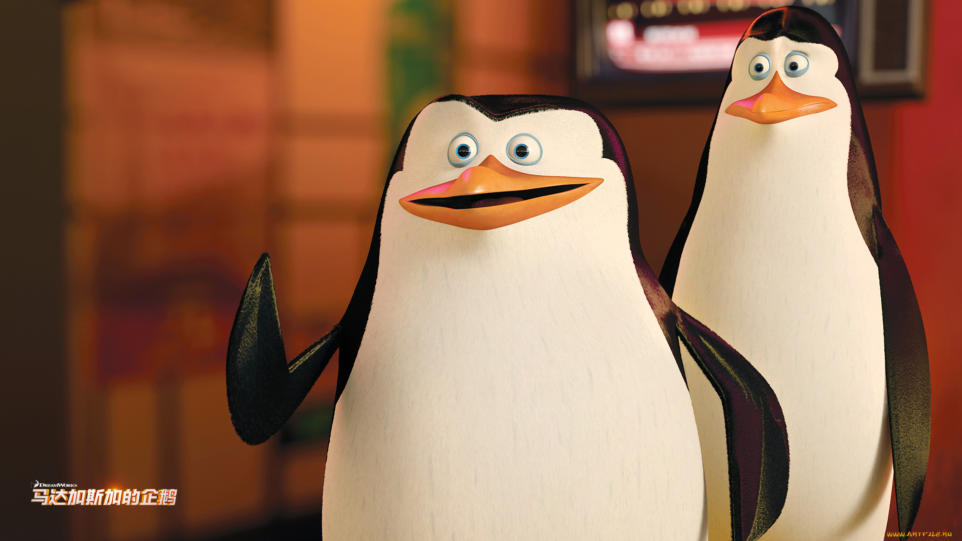 мультфильмы, the, penguins, of, madagascar, пингвины, клюв, глаза