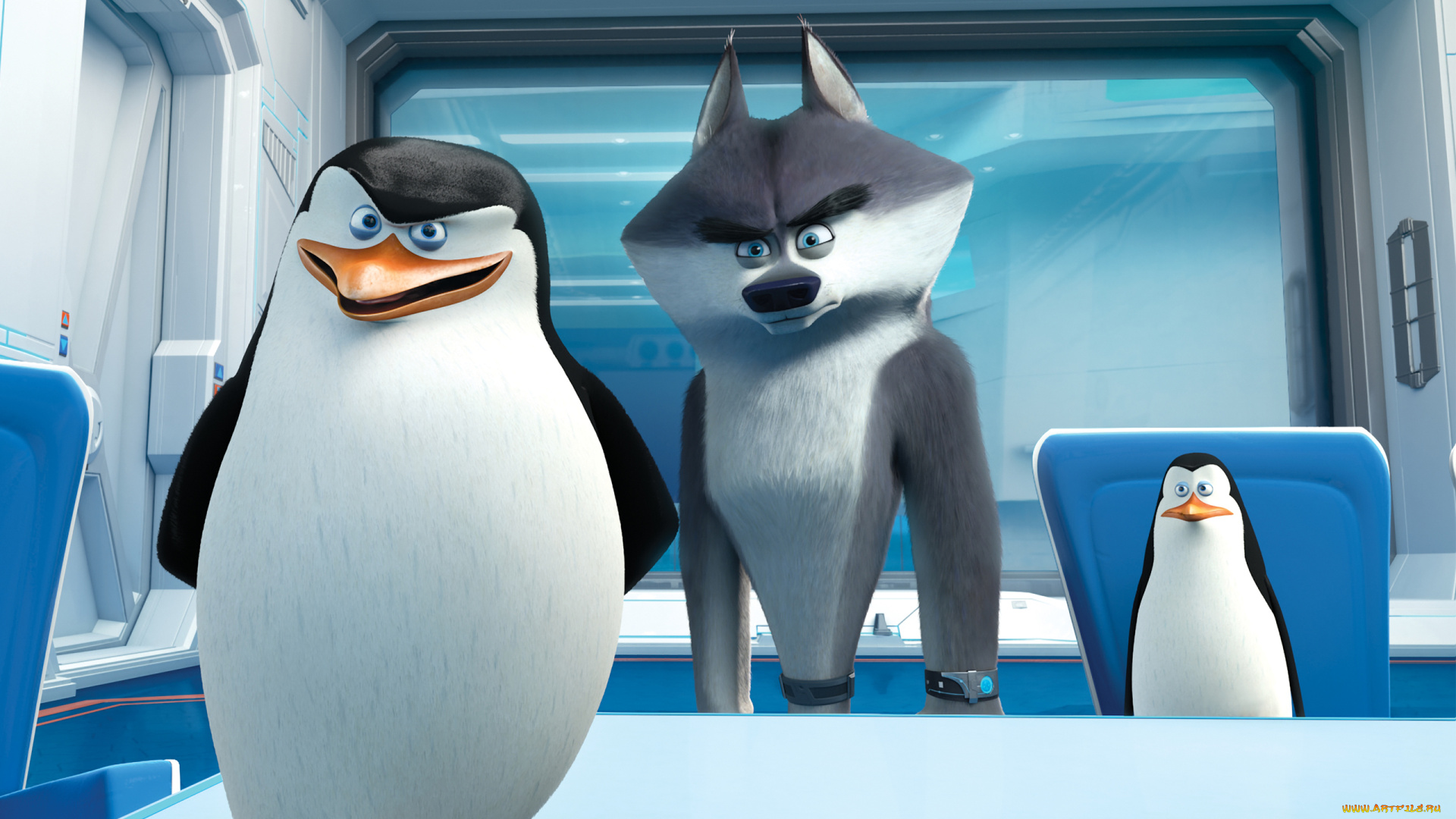 мультфильмы, the, penguins, of, madagascar, пингвины, клюв, глаза