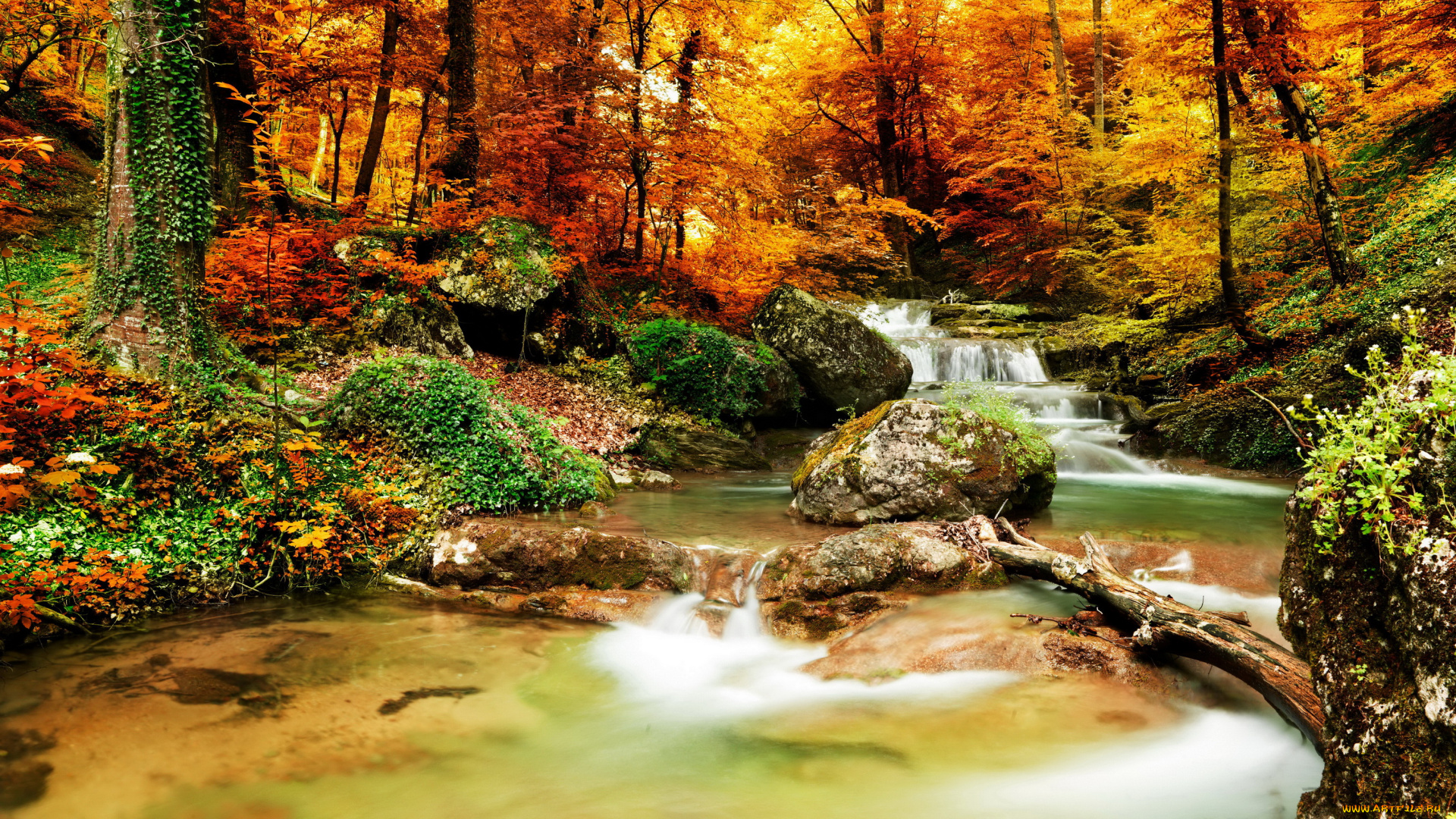 природа, водопады, листья, водопад, осень, лес, деревья