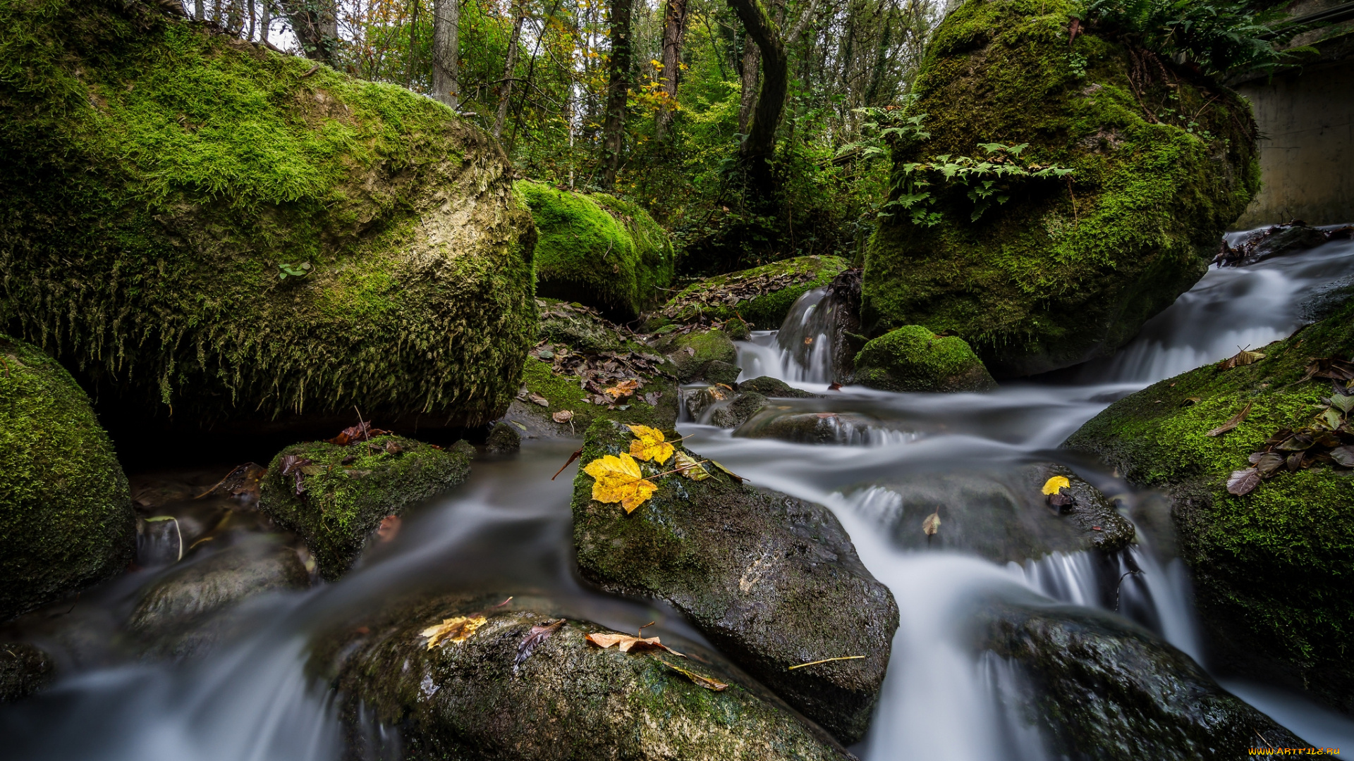 природа, водопады, водопад, река, лес