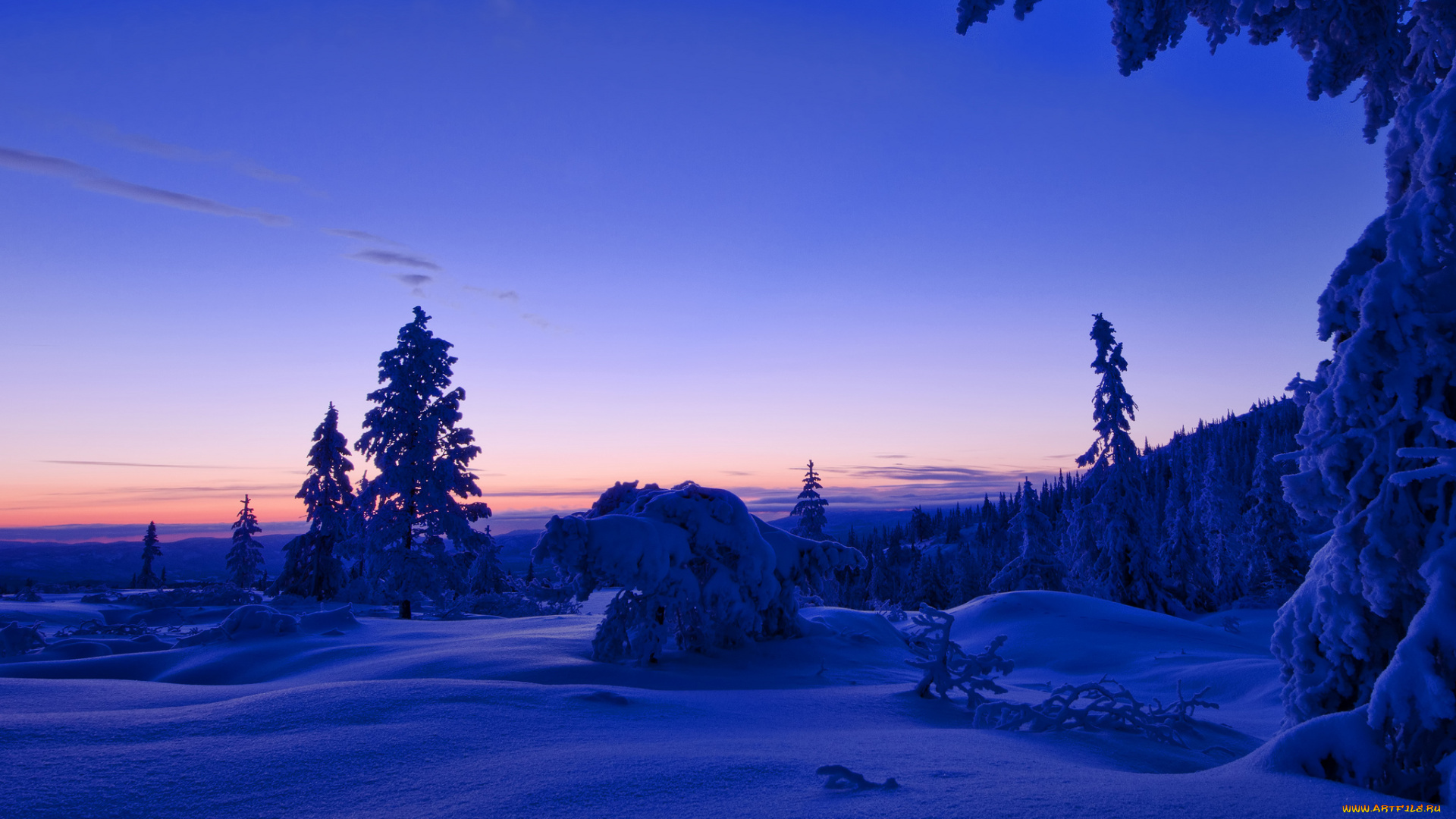 природа, зима, облака, лес, небо, снег, норвегия, закат, вечер, деревья