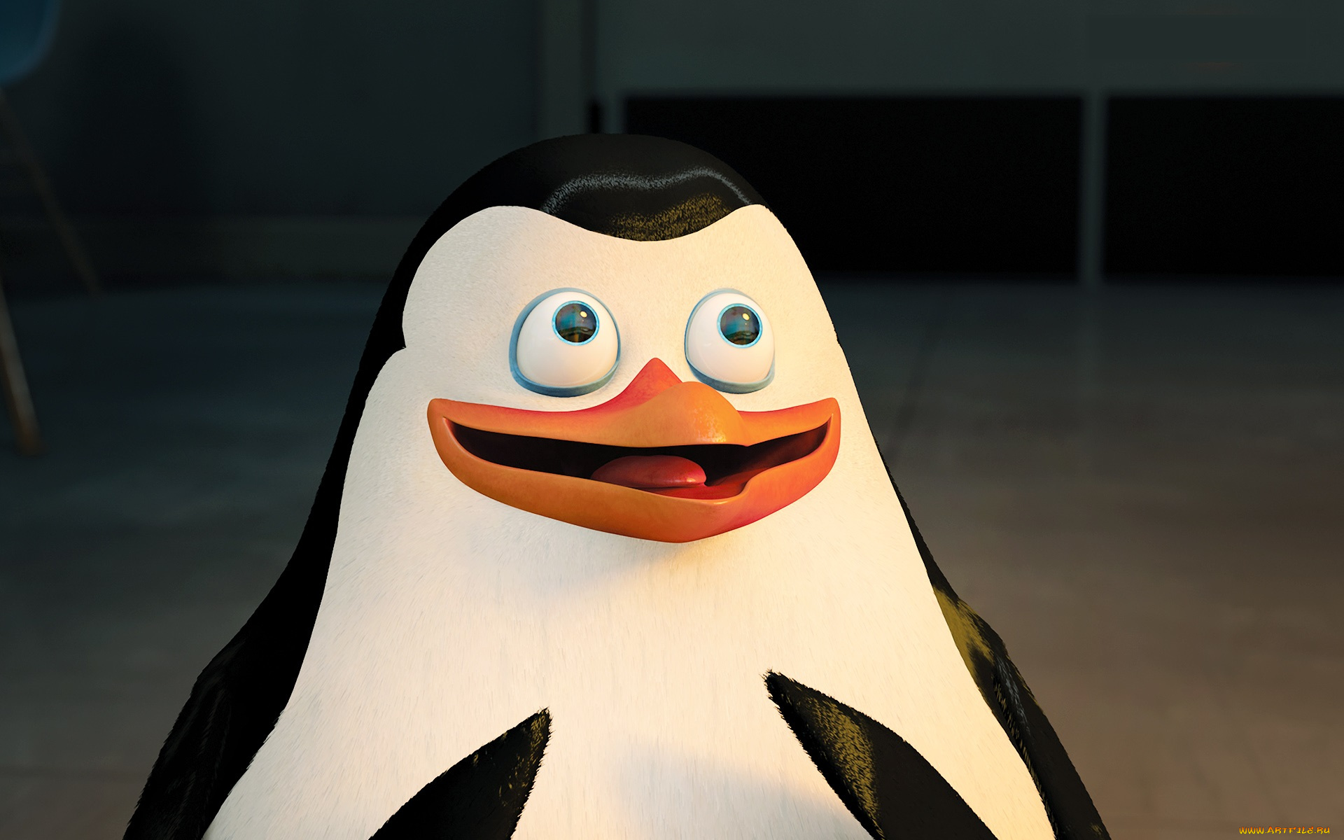 мультфильмы, the, penguins, of, madagascar, глаза, клюв, пингвин