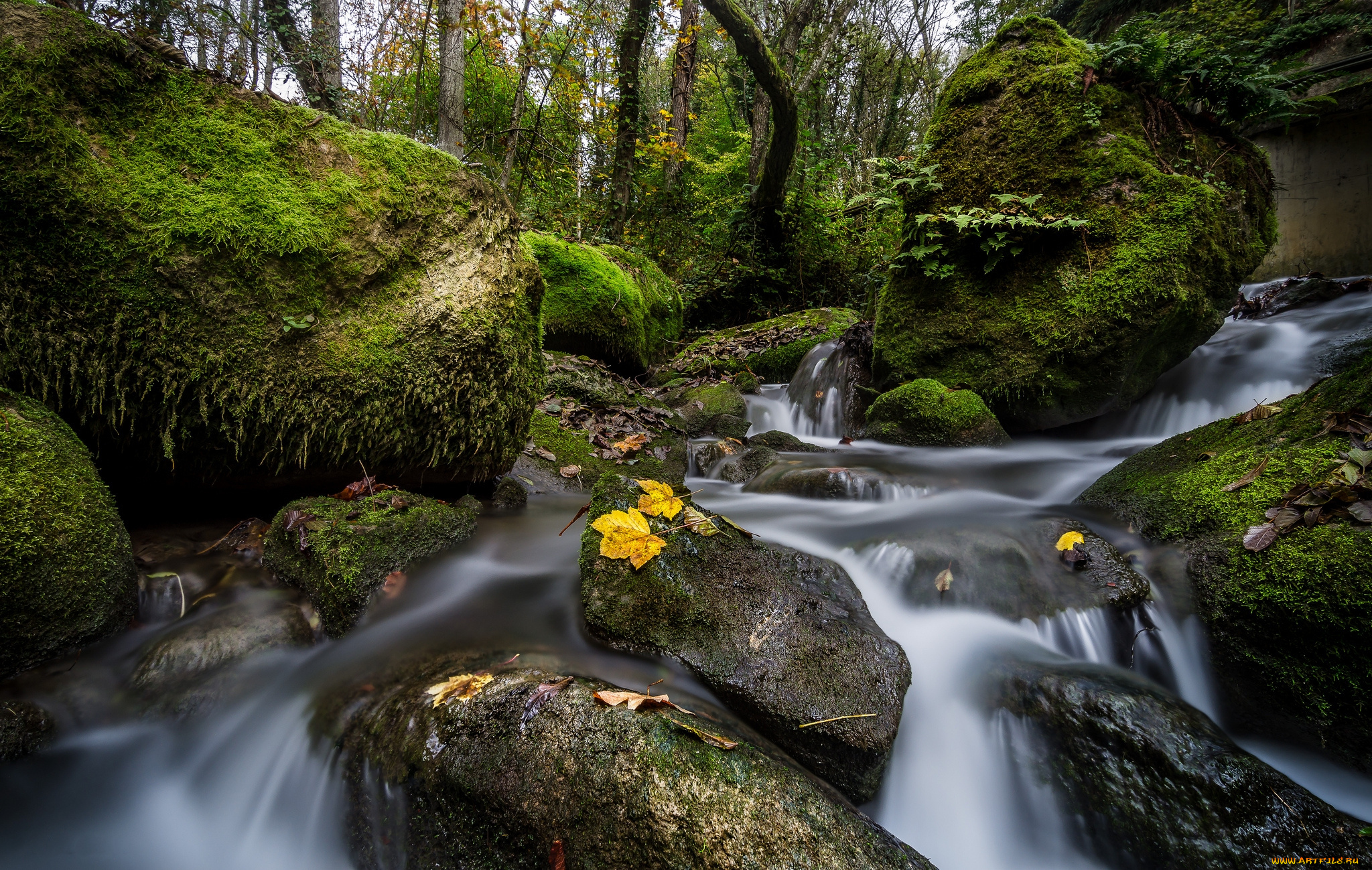 природа, водопады, водопад, река, лес