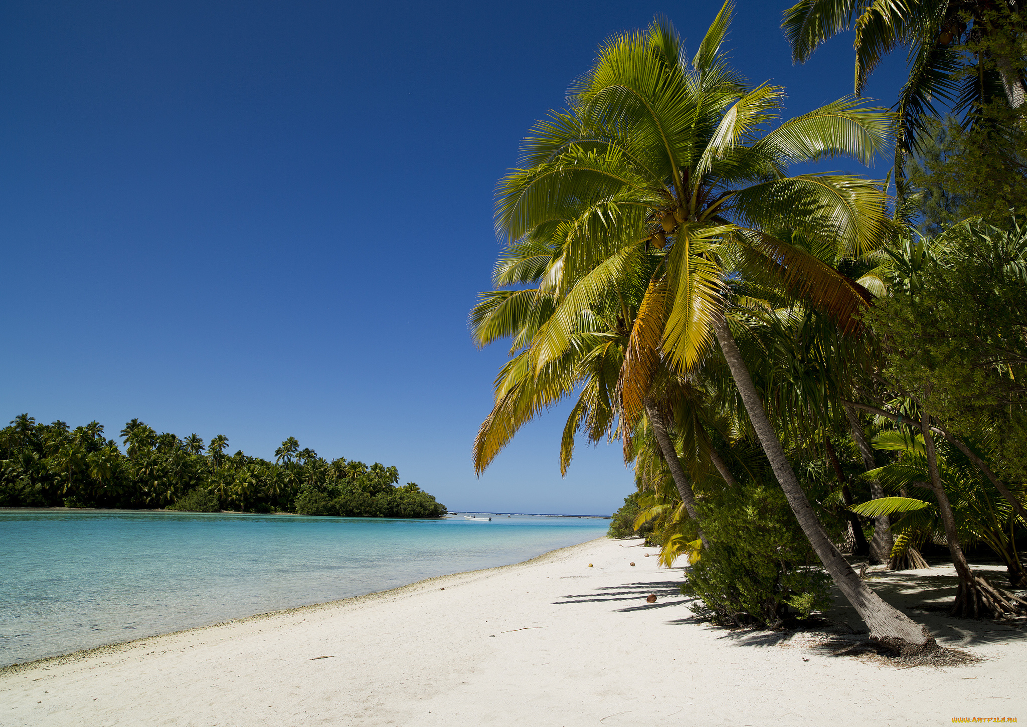 Cook islands. Остров Раротонга острова Кука. Пляж Раротонга. Острова Кука пляжи. Остров пляж.