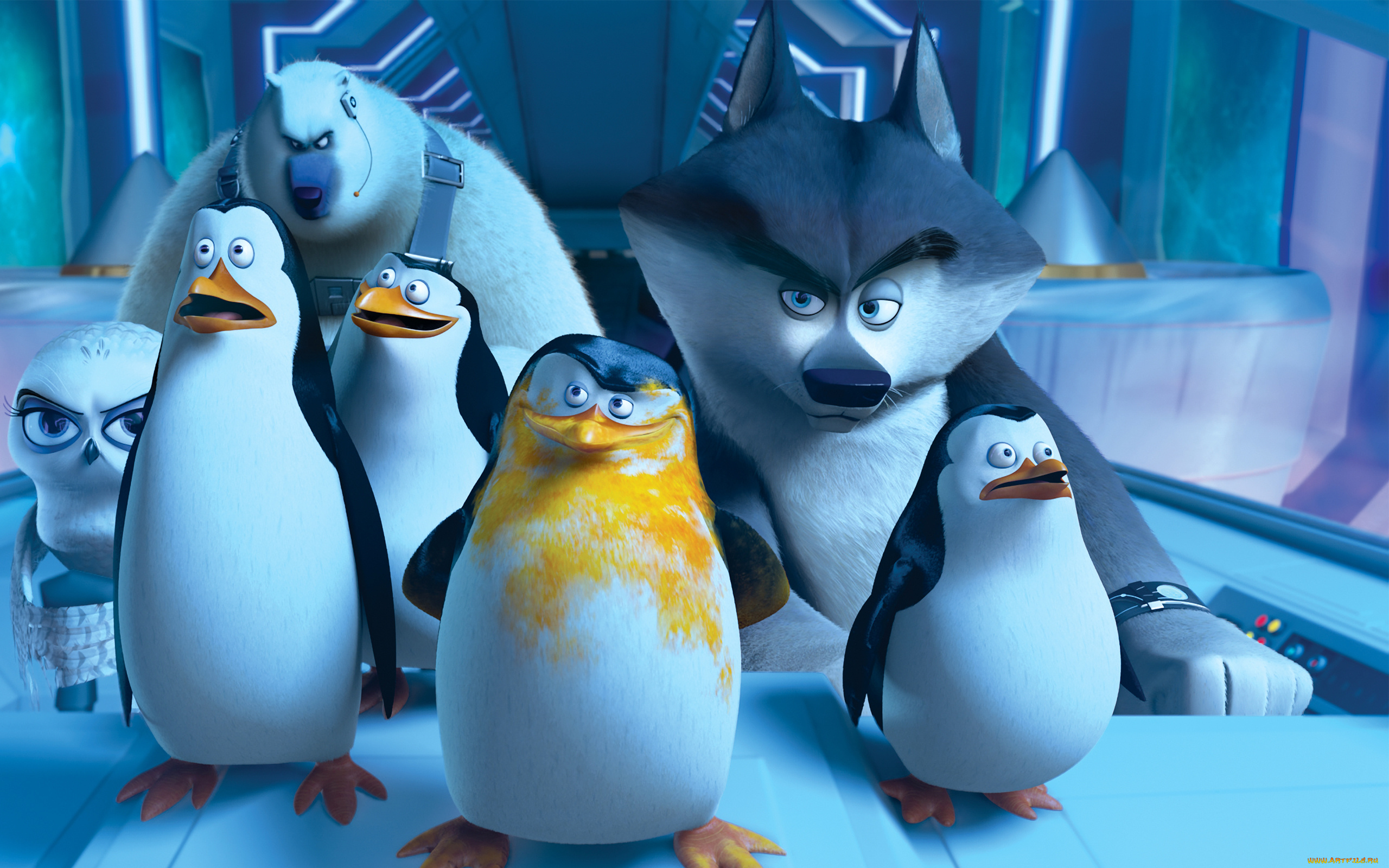 мультфильмы, the, penguins, of, madagascar, глаза, пингвины, клюв