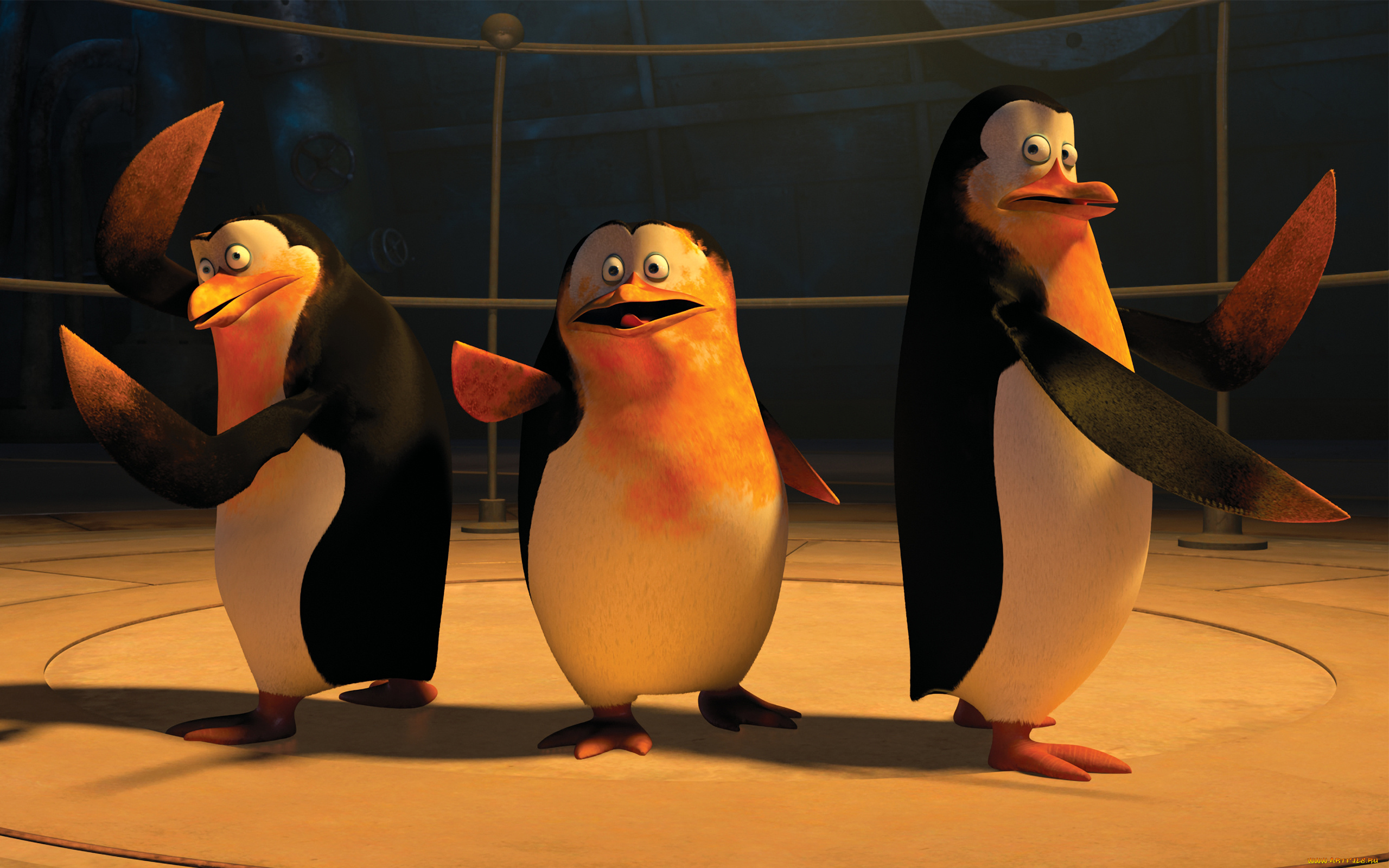 мультфильмы, the, penguins, of, madagascar, клюв, глаза, пингвины